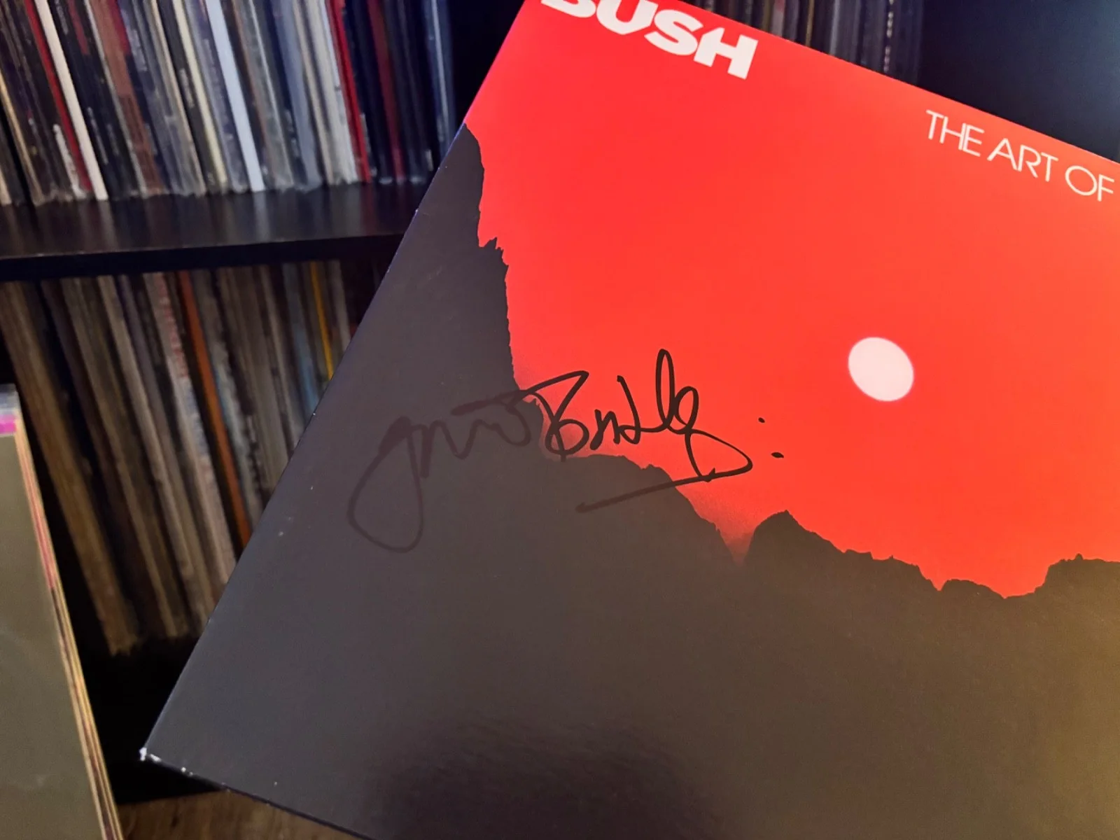 GAVIN ROSSDALE SIGNED AUTOGRAPHED WHITE LP VINYL RARE THE ART OF SURVIVAL BUSH, изображение 2