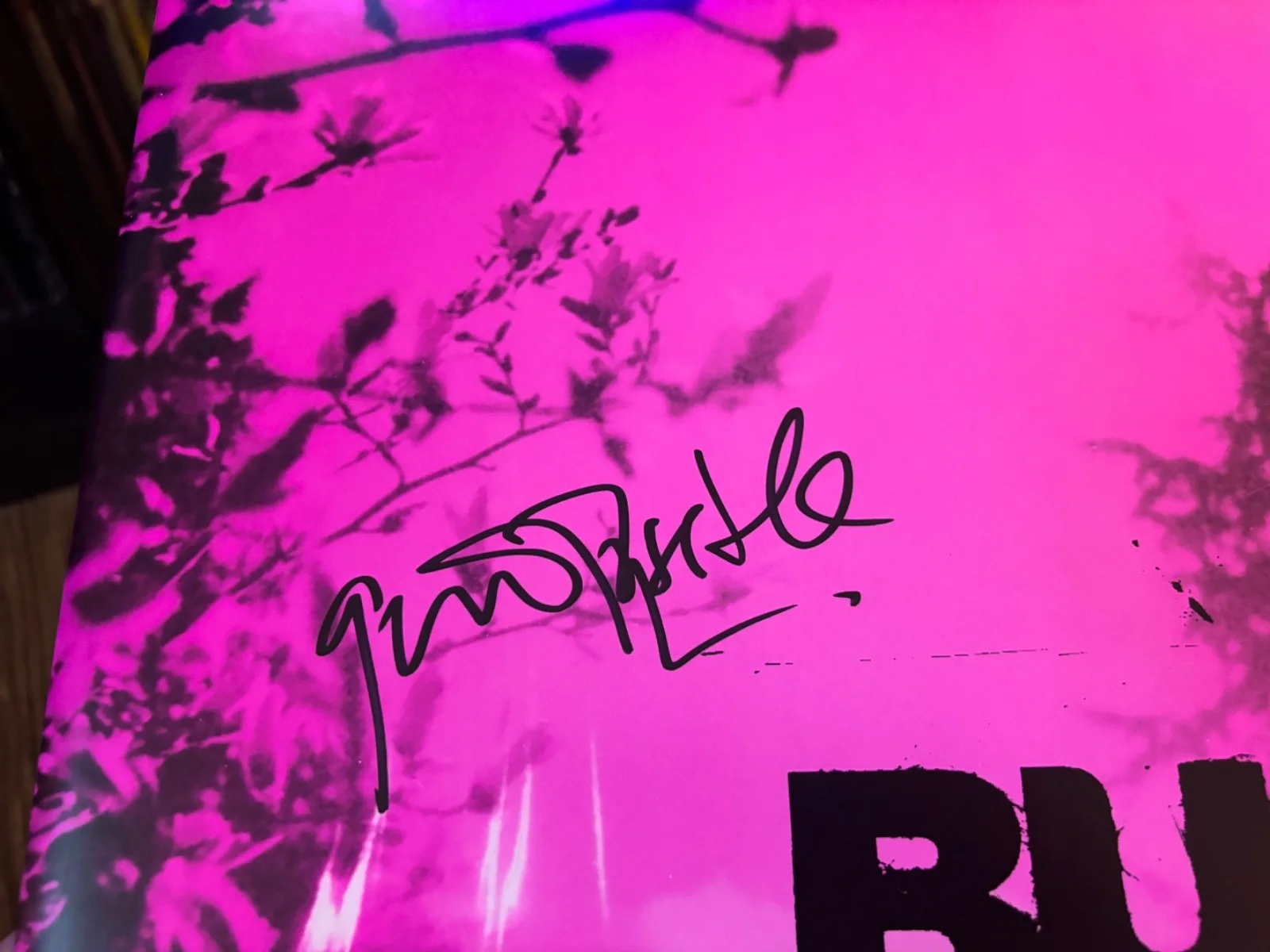 BUSH SIGNED AUTOGRAPHED CLEAR LP VINYL RARE GAVIN ROSSDALE IN PERSON LOADED, image 2