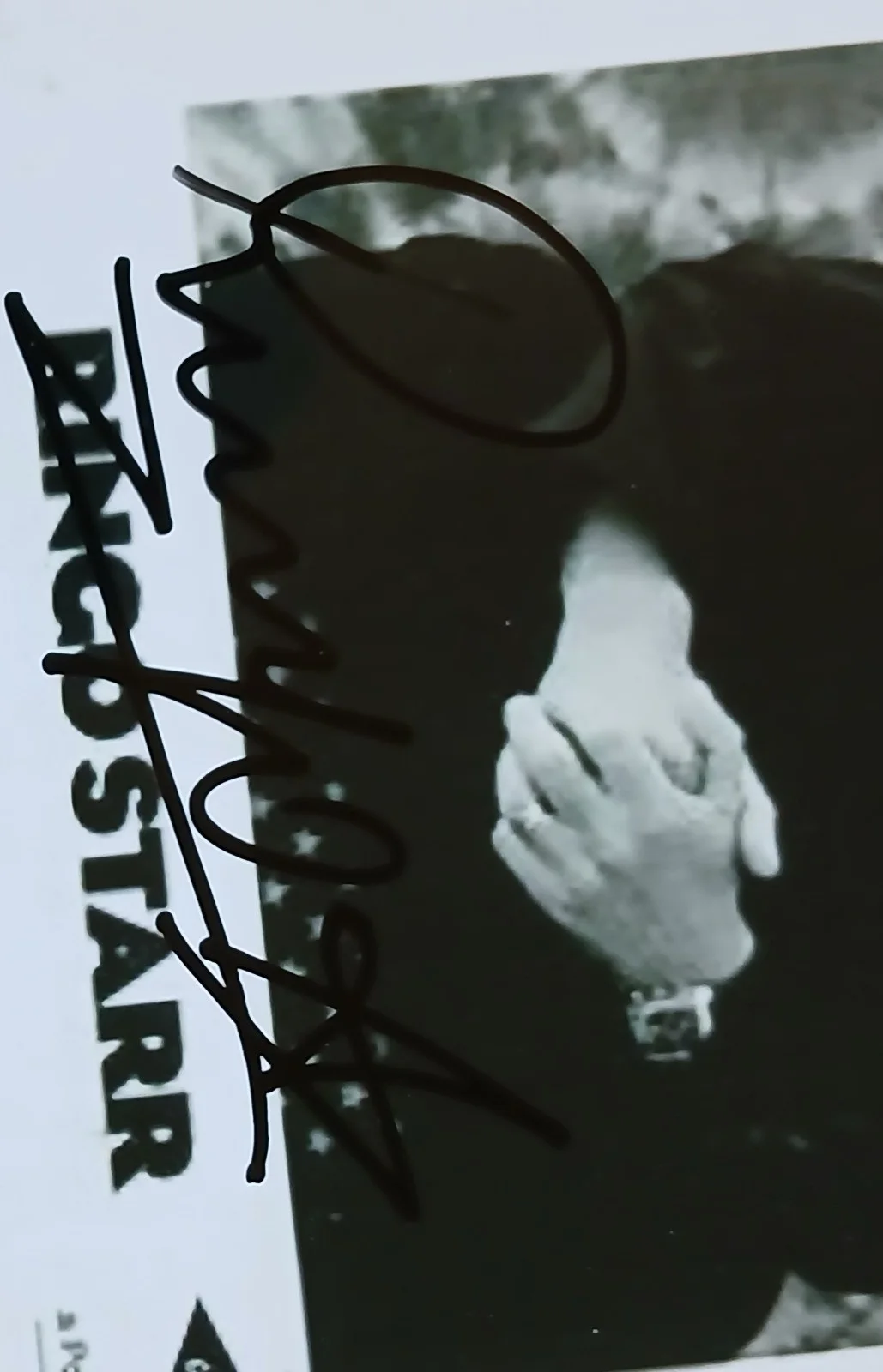 Ringo Starr, Beatles, Signed Autographed 8x6 Photo, image 2