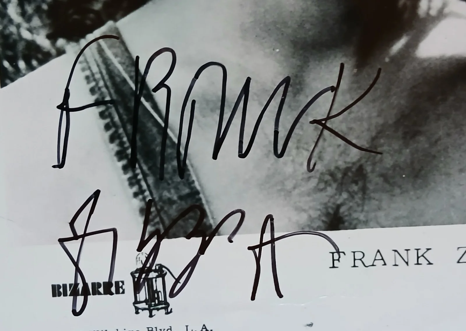 Frank Zappa, Signed Autographed 8x6 Photo, image 4