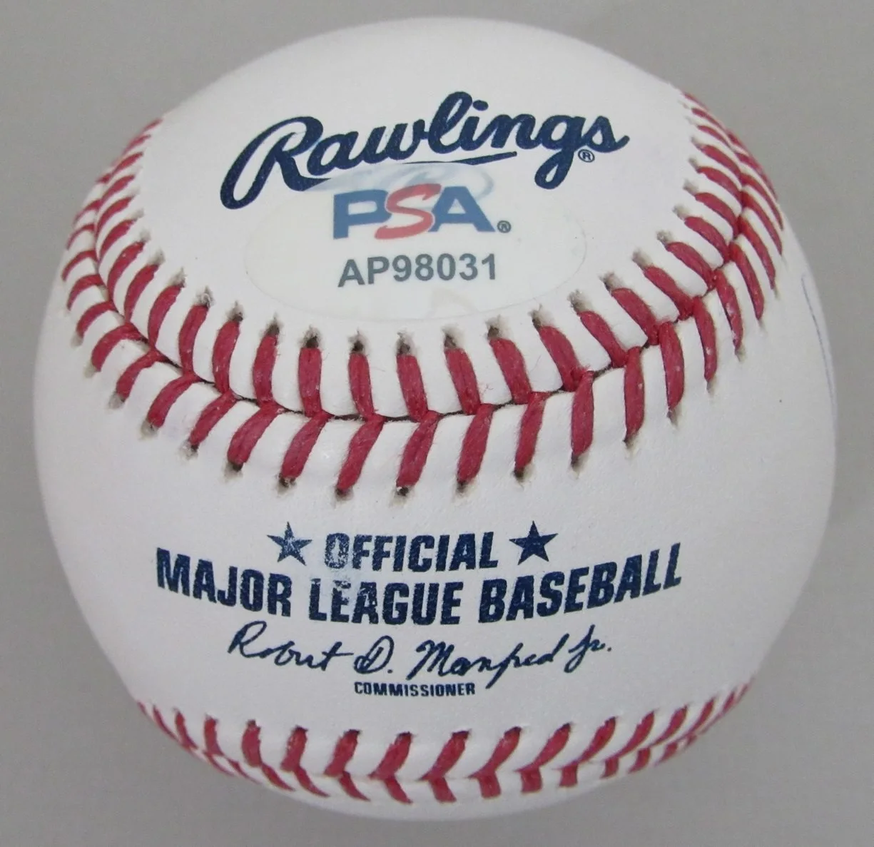 Steven Tyler Aerosmith Signed/Autographed OML Baseball PSA/DNA 203538, изображение 2