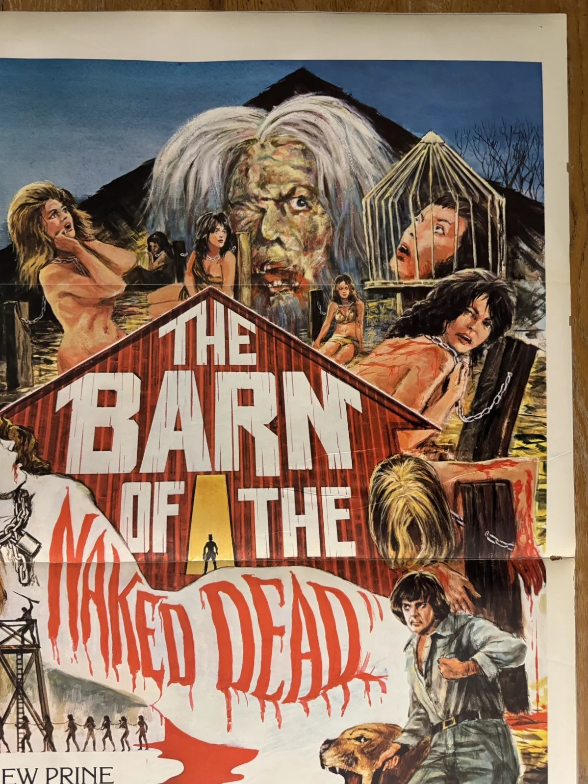 The Barn Of The Naked Dead 1975 Original 27x41" US One Sheet Movie Poster, изображение 3