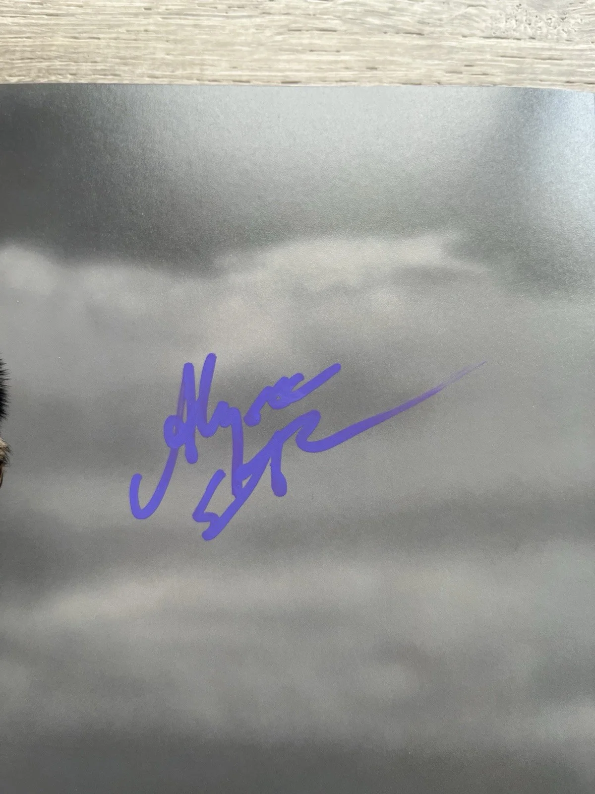 Alyssa Sutherland — Alyssa Sutherland Signed Vikings 11x14 Photo Aslaug JSA COA, image 4
