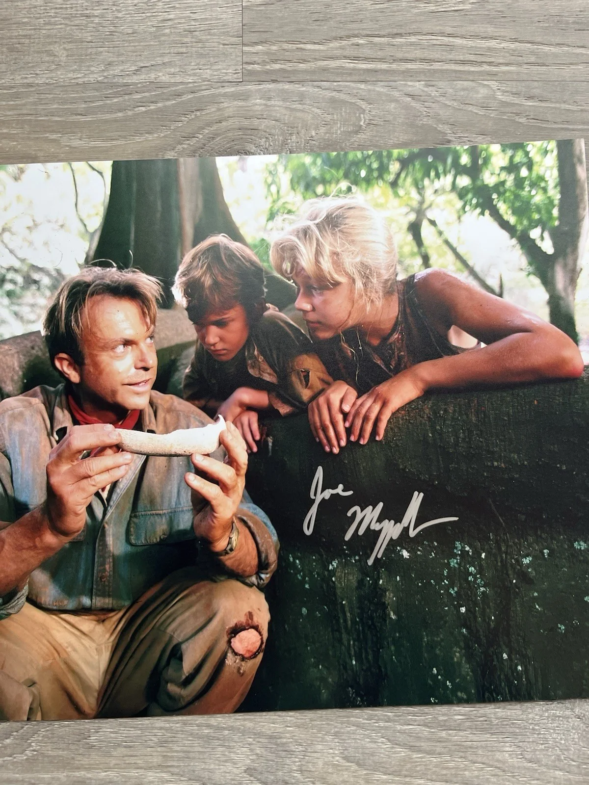 Joseph Mazzello — Joseph Mazzello Signed Jurassic Park 11x14 Photo Beckett COA Tim Murphy, изображение 5