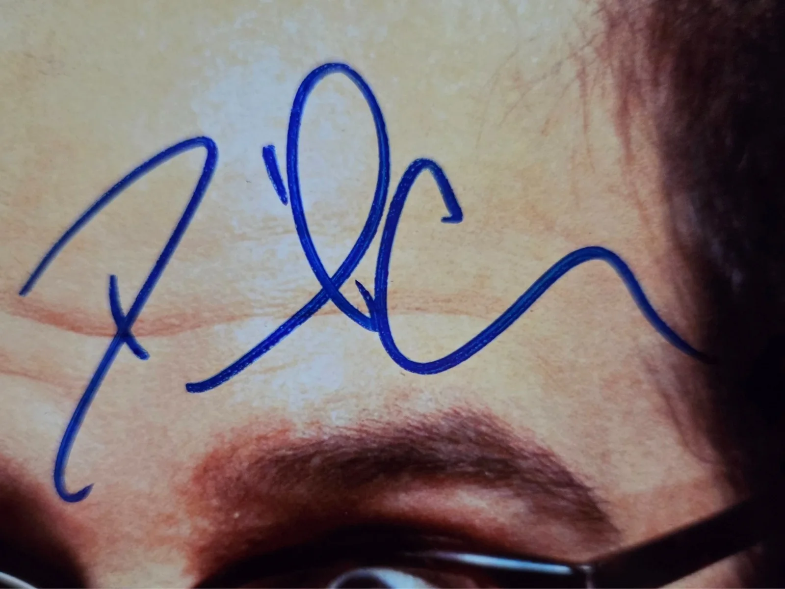 David Cross Hand Signed Autograph 8x10 Photo In Person Proof Mr. Show Arrested, image 2