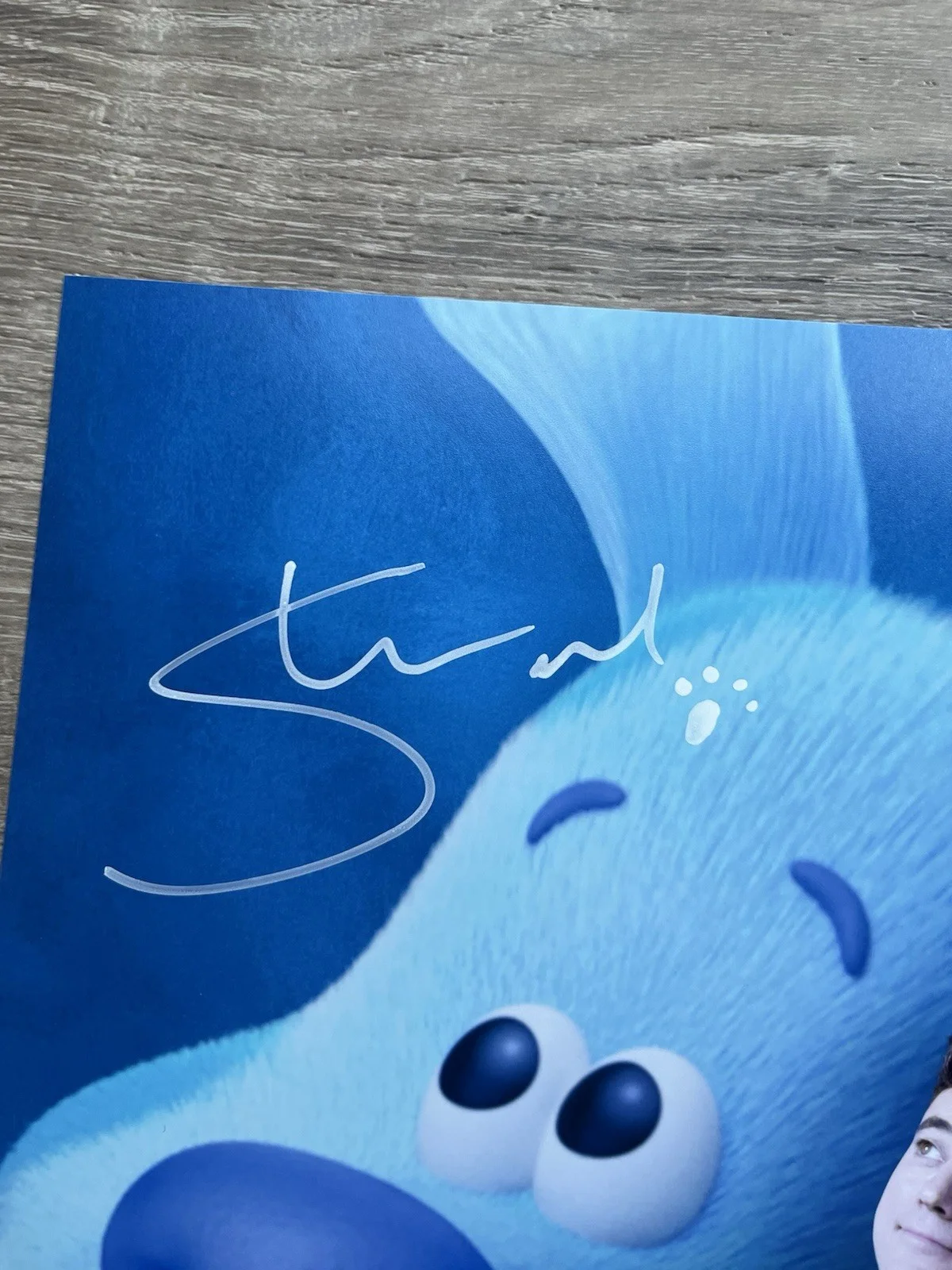 Steve Burns — Steve Burns Signed Blues Clues 11x14 Photo Beckett COA Nickelodeon, image 4