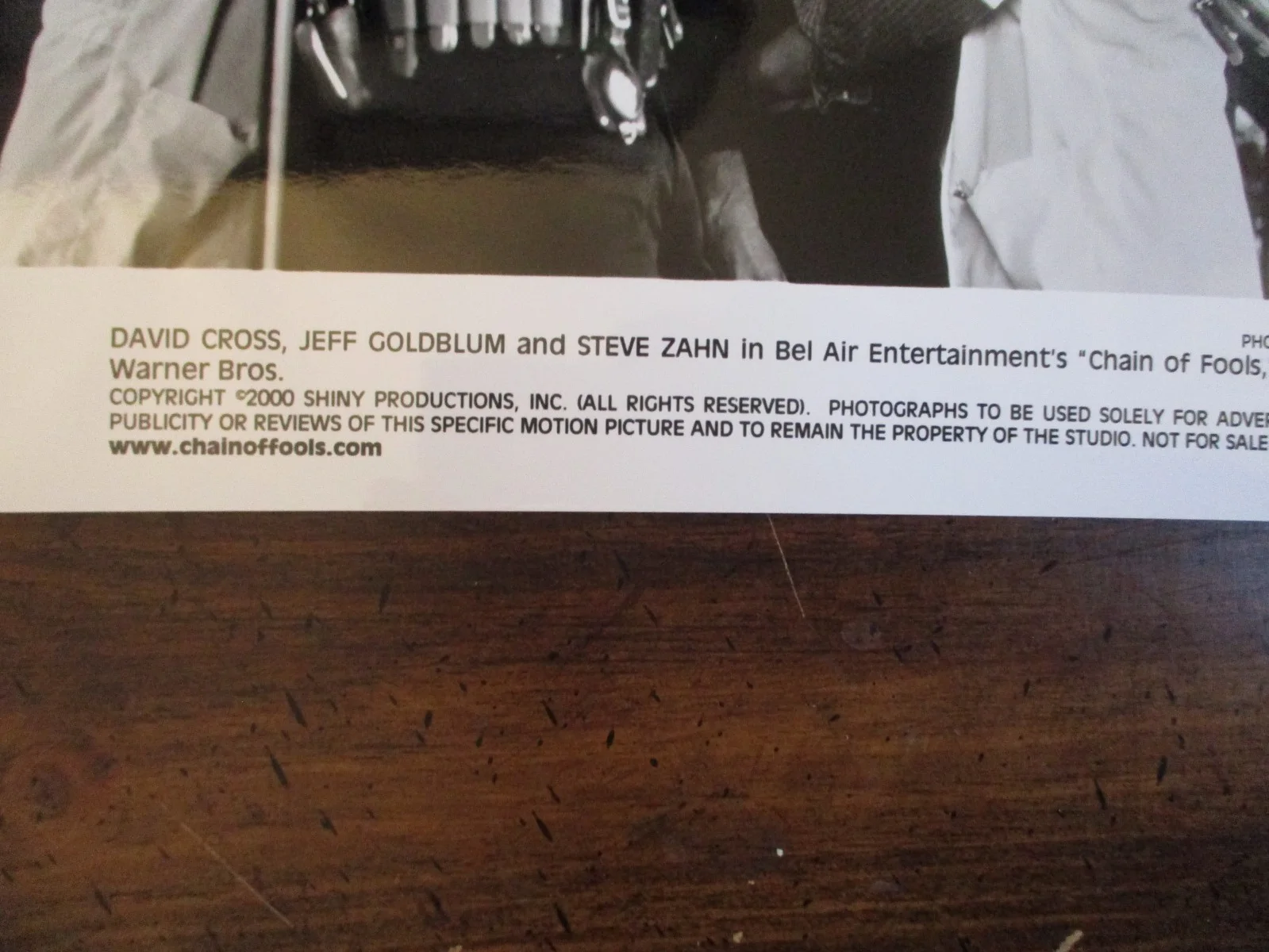 Steve Zahn/David Cross/Jeff Goldblum(CHAIN OF FOOLS)2000 10 x 8 B &W Press Photo, изображение 3