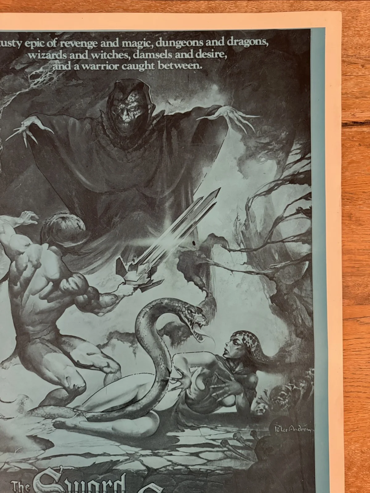 The Sword And The Sorceror Original South African movie poster Johannesburg Rare, изображение 2