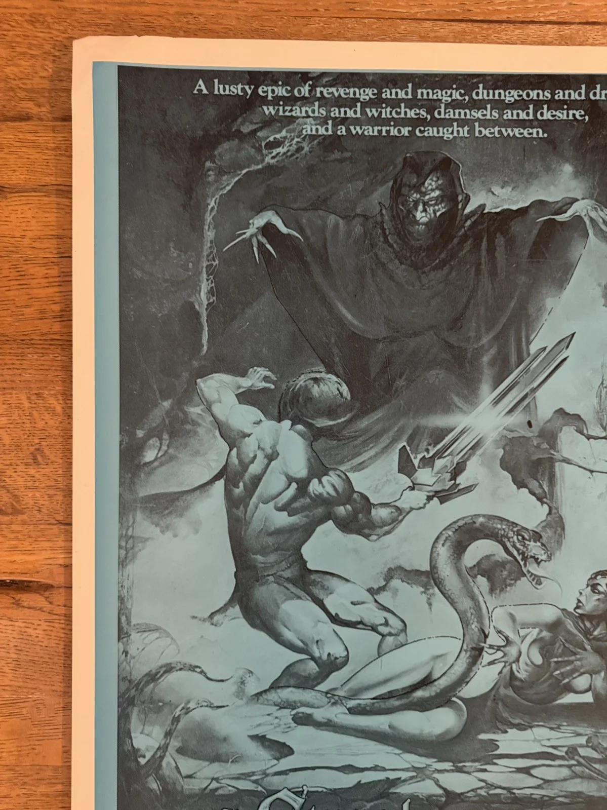 The Sword And The Sorceror Original South African movie poster Johannesburg Rare, изображение 3