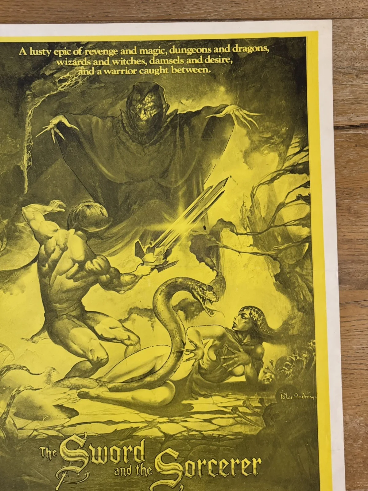 The Sword And The Sorceror Original South African movie poster Johannesburg Rare, изображение 2