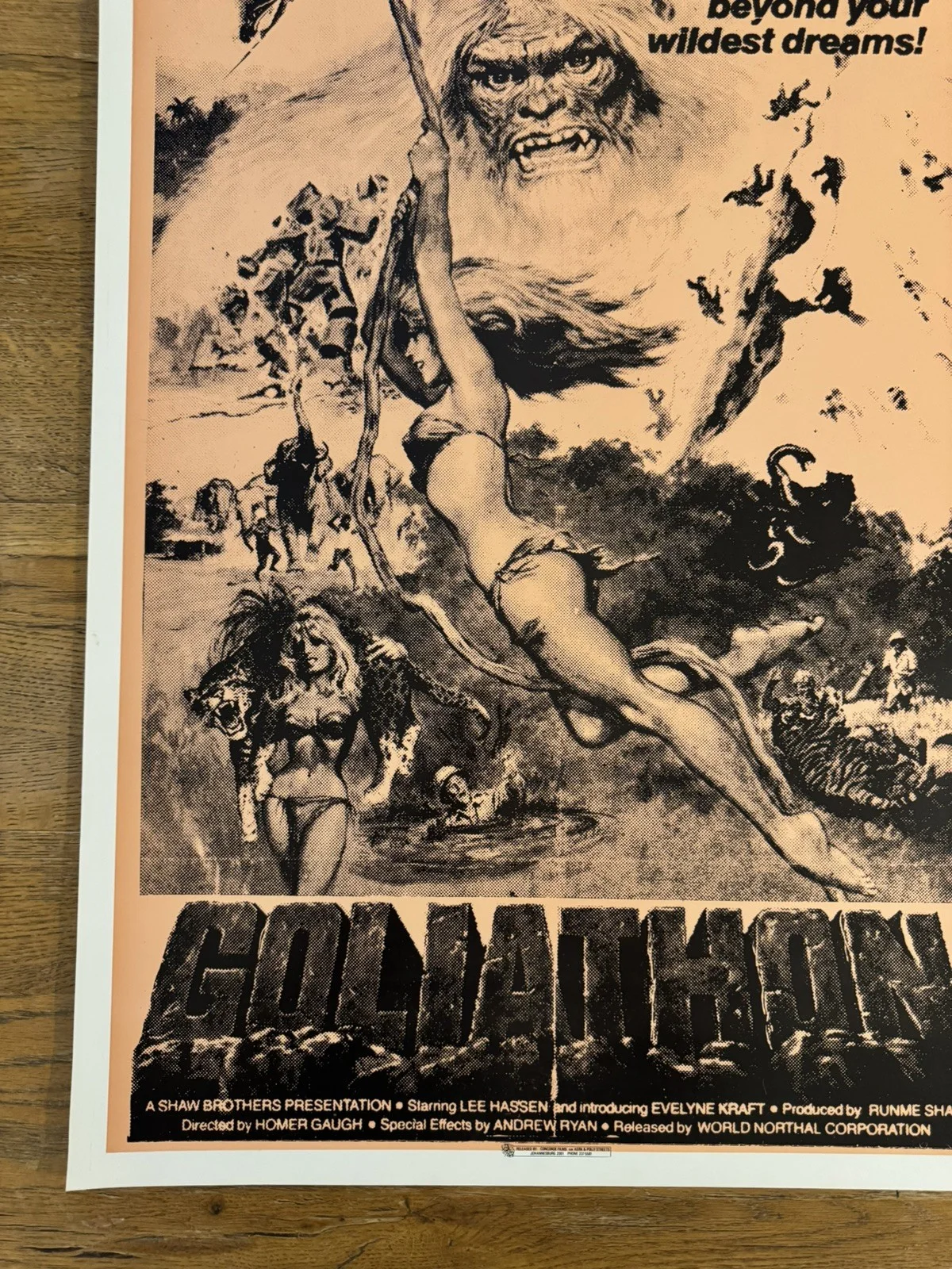 Goliathon Original South African movie poster Johannesburg Rare, изображение 4