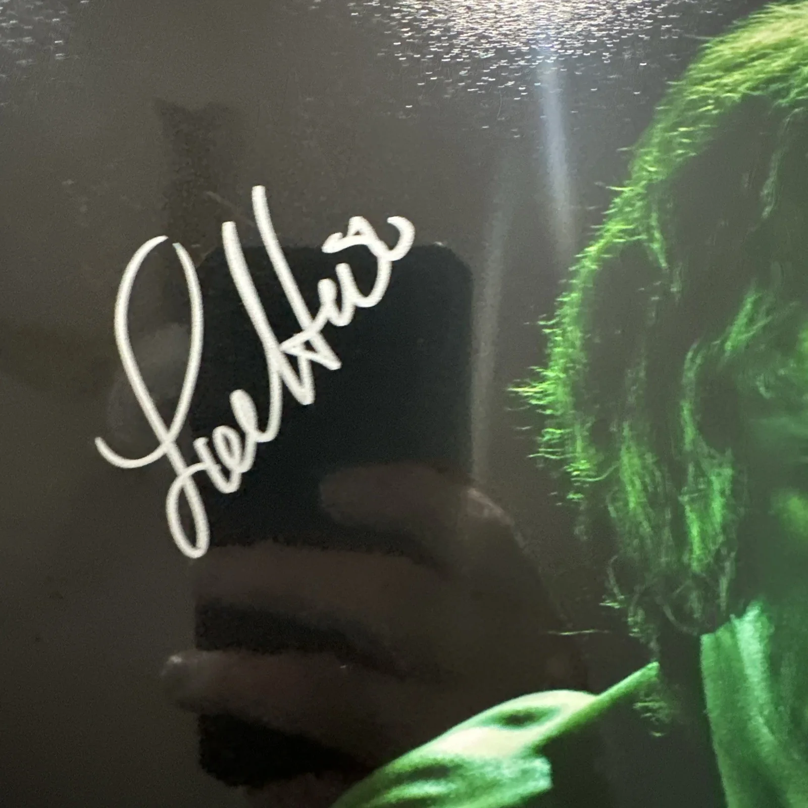 Lou Ferrigno — Lou Ferrigno Signed Autographed 11x14 Incredible Hulk' Photo celebrity authentic, image 2