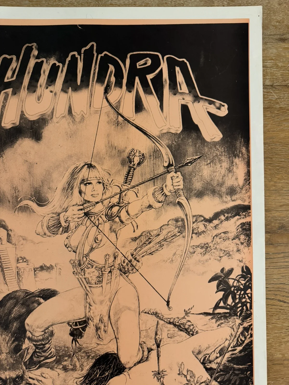 Hundra Original South African movie poster Johannesburg Rare, изображение 2