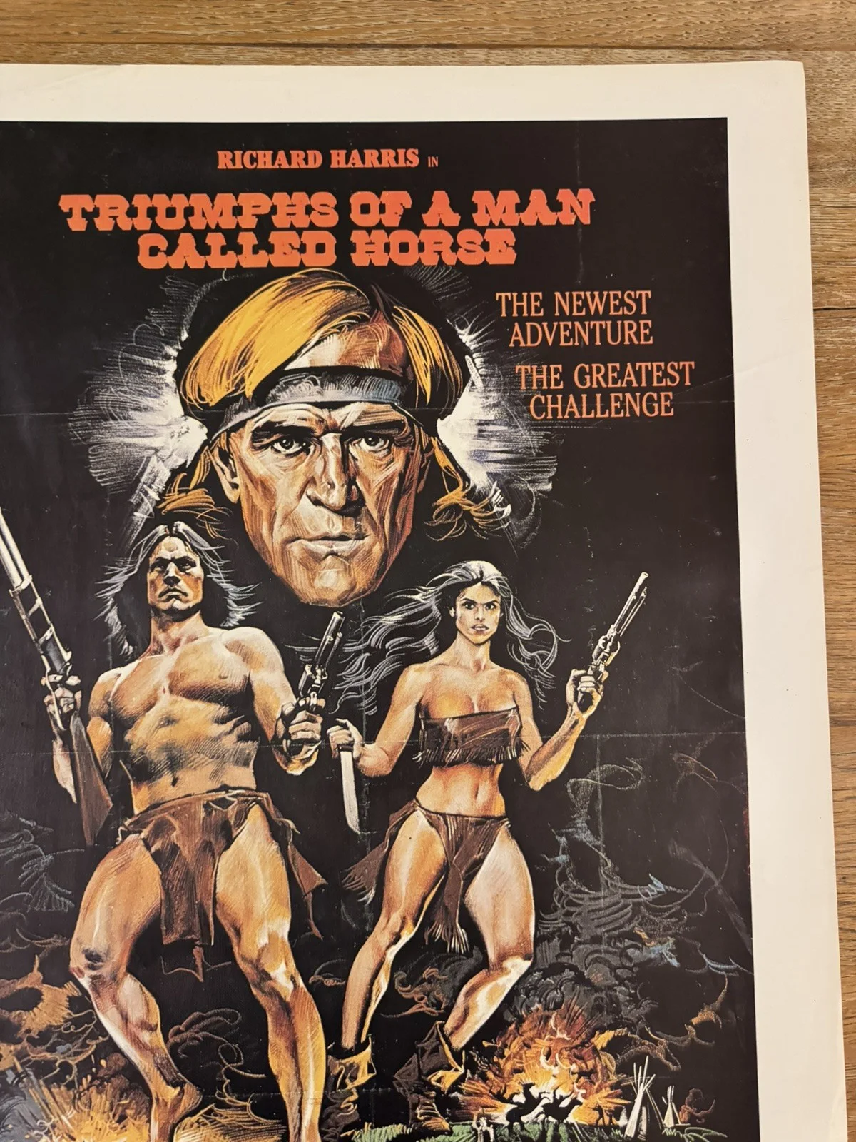 Triumph of a man called horse Original South African movie poster Rare, изображение 5
