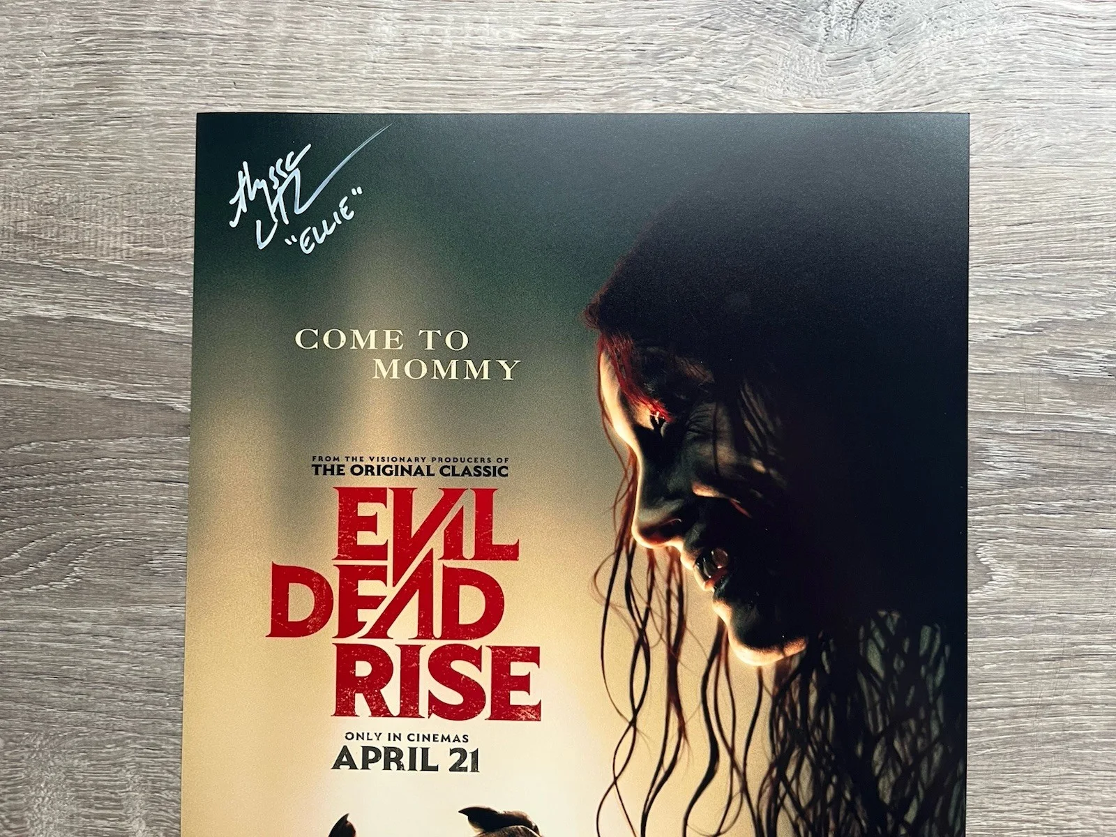 Alyssa Sutherland — Alyssa Sutherland Signed Evil Dead Rise 11x14 Photo JSA COA Ellie Horror Auto, image 3