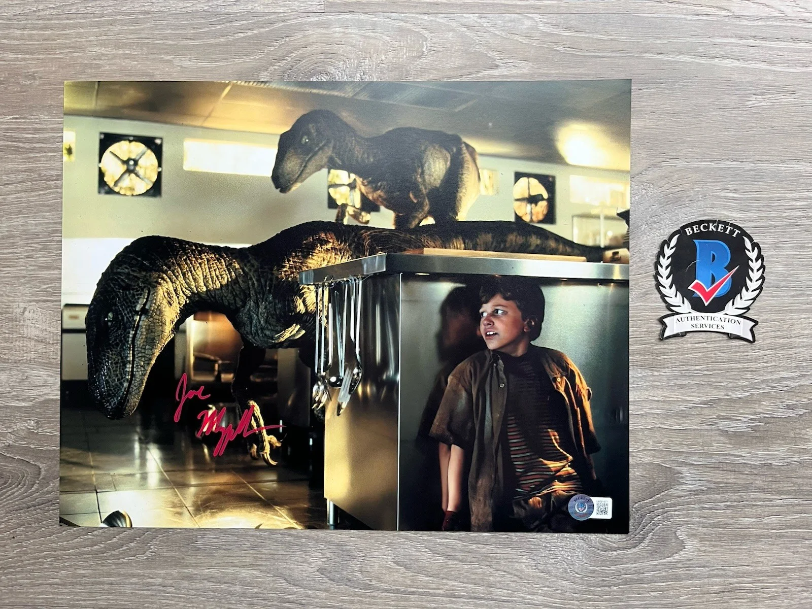 Joseph Mazzello — Joseph Mazzello Signed Jurassic Park 11x14 Photo Beckett COA Tim Murphy