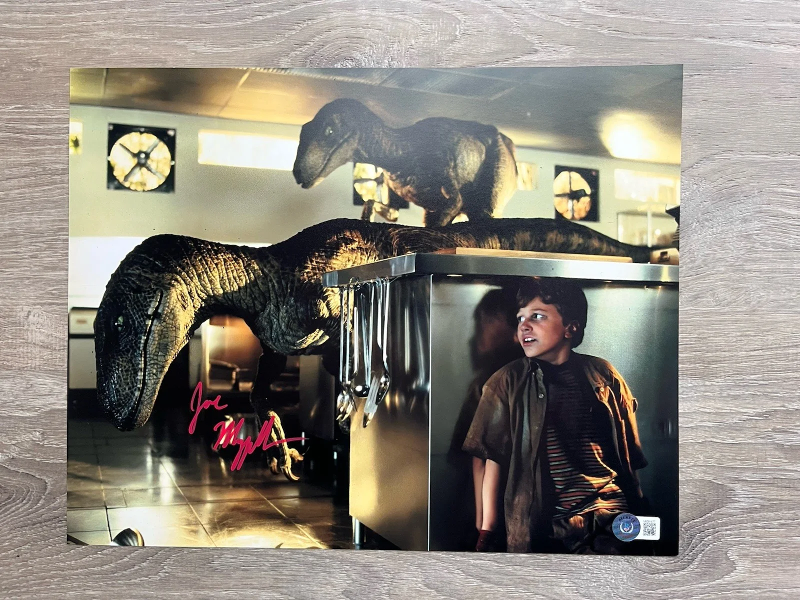 Joseph Mazzello — Joseph Mazzello Signed Jurassic Park 11x14 Photo Beckett COA Tim Murphy, image 2