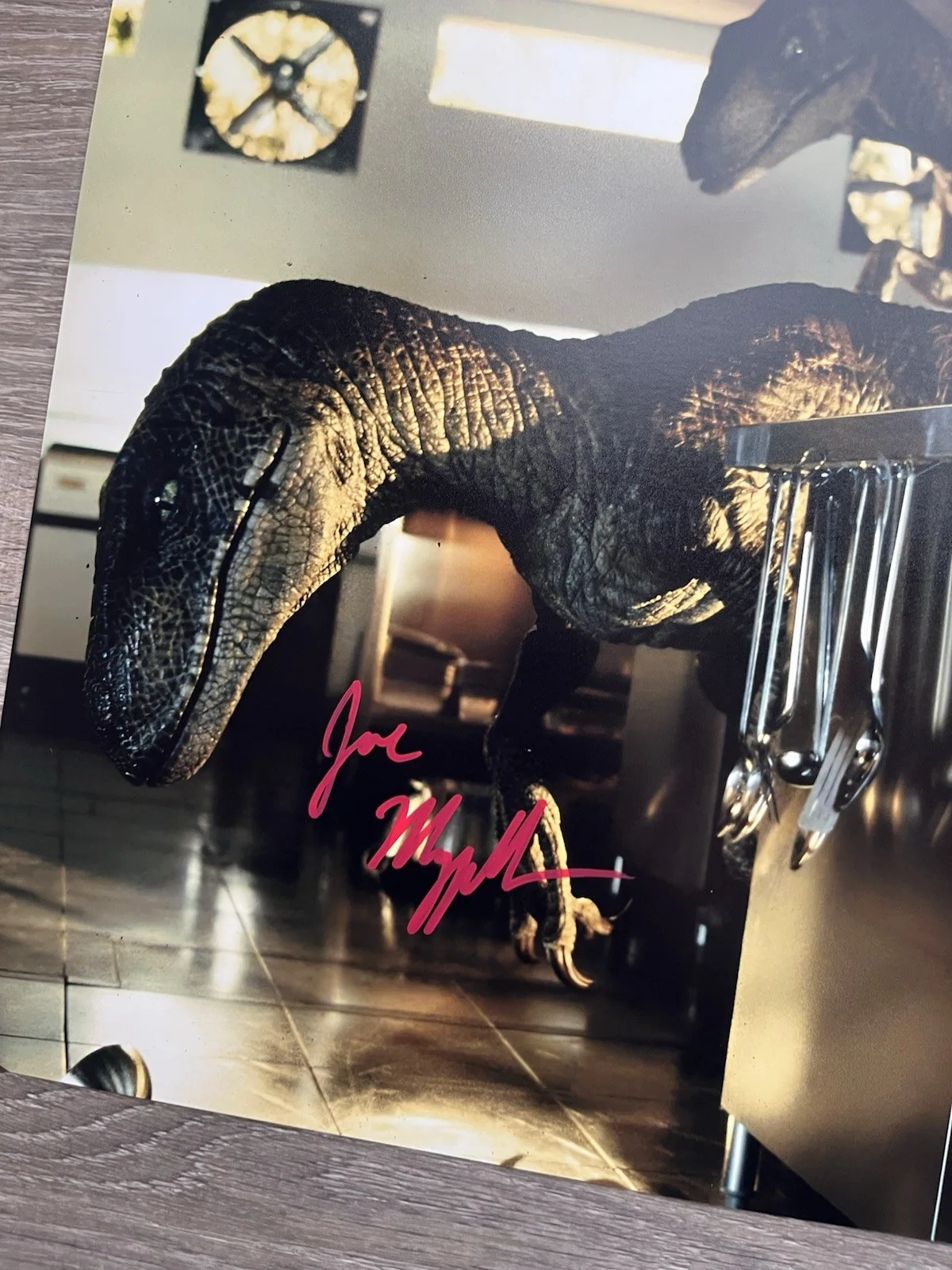 Joseph Mazzello — Joseph Mazzello Signed Jurassic Park 11x14 Photo Beckett COA Tim Murphy, image 4