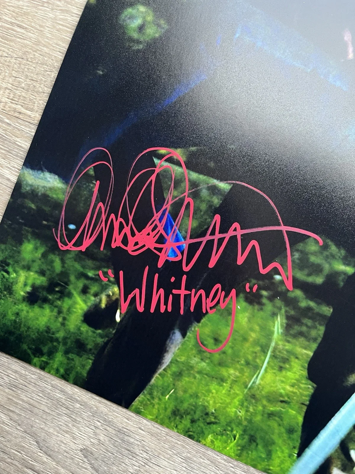 Amanda Righetti Signed Friday The 13th 11x14 Photo JSA COA Whitney Horror Auto, изображение 4
