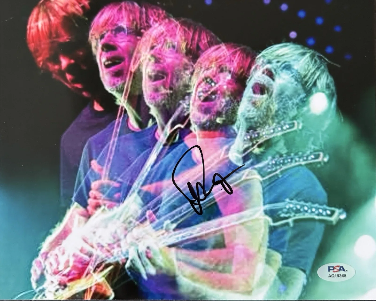 Trey Anastasio — TREY ANASTASIO SIGNED AUTOGRAPH 8x10 PHOTO PHISH JUNTA PSA/DNA COA LIVE