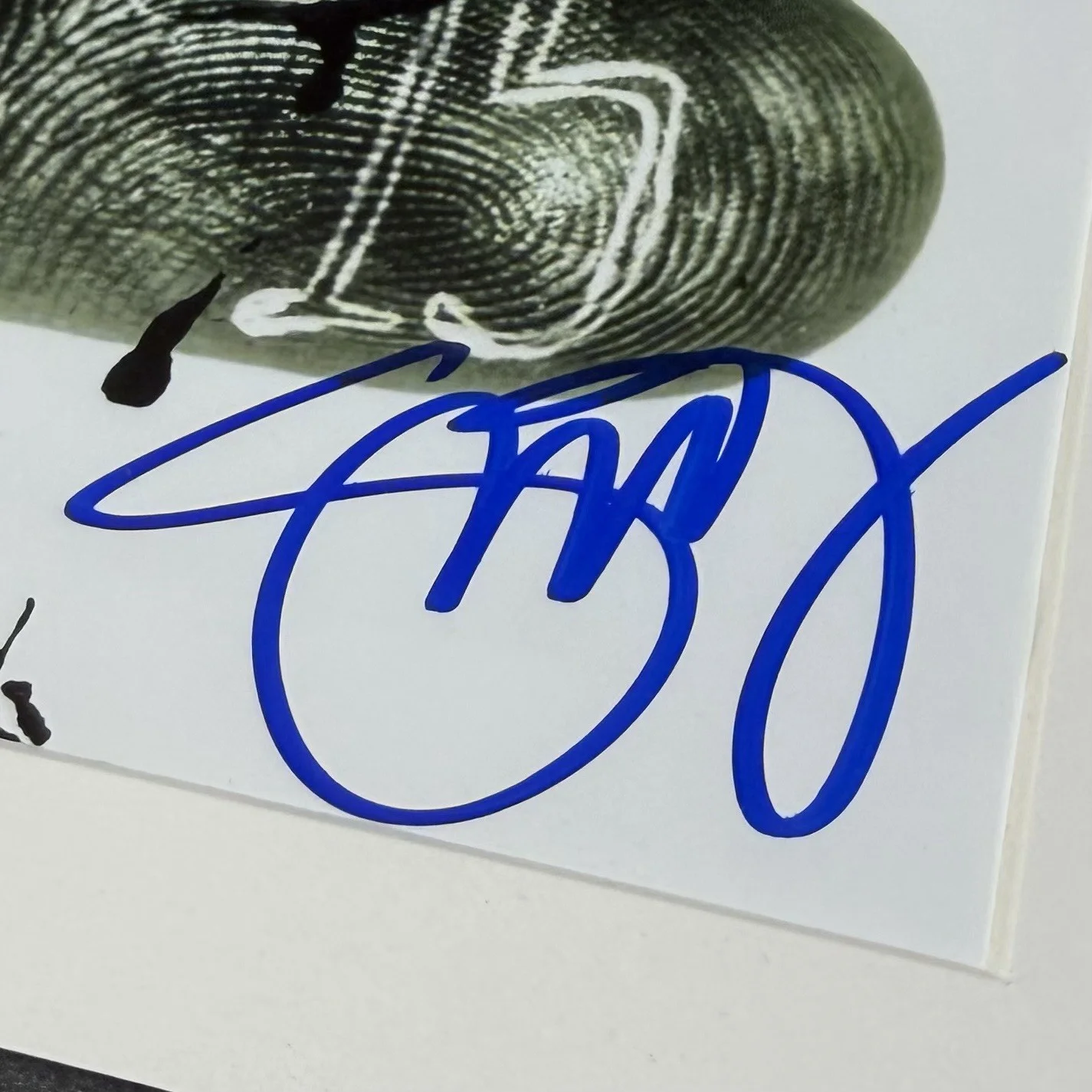 STEVIE D SIGNED BUCKCHERRY SELF TITLED CD ALBUM AUTOGRAPH FRAMED PSA COA, изображение 3