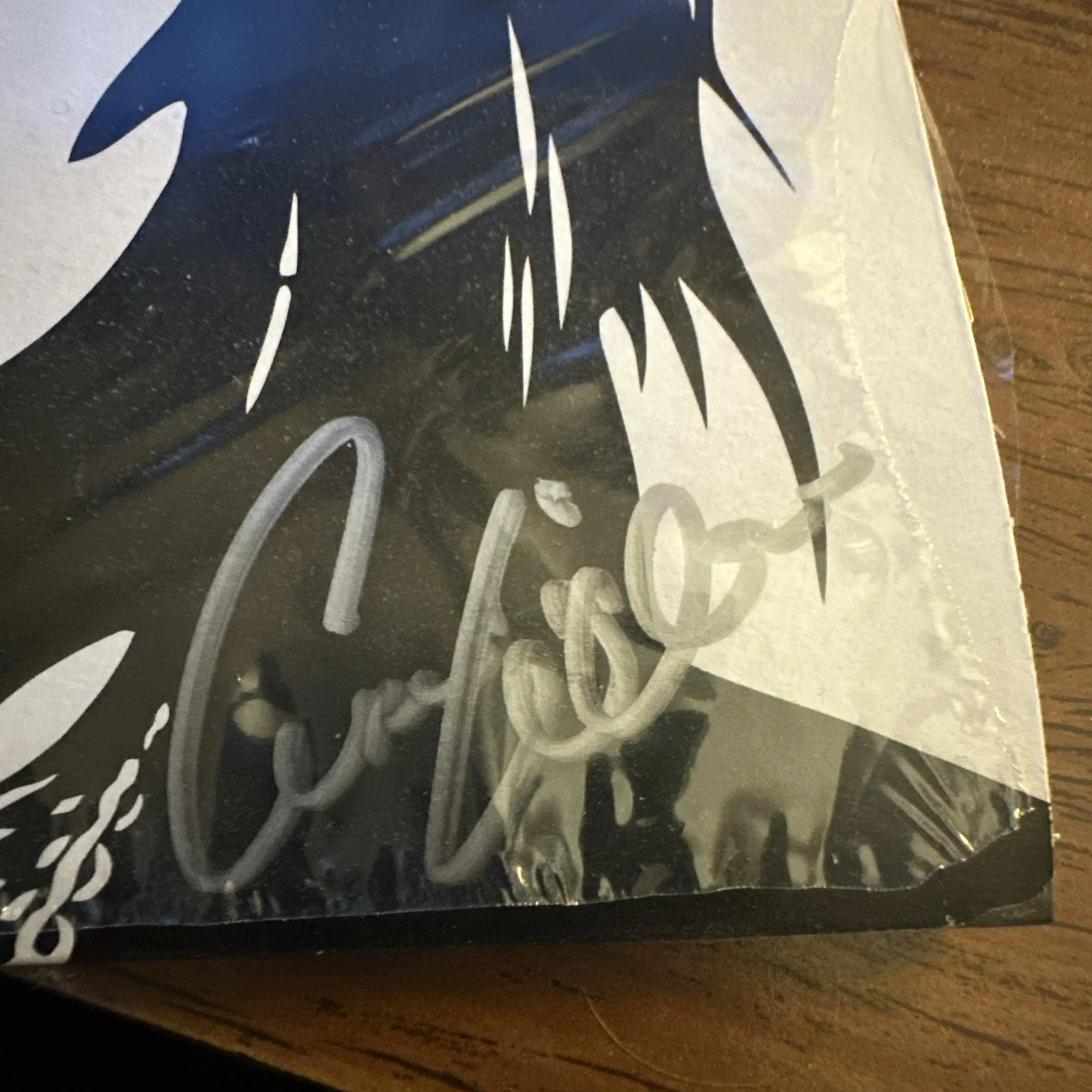 Signed Ann Wilson Record The Revolution Starts Now!, image 2
