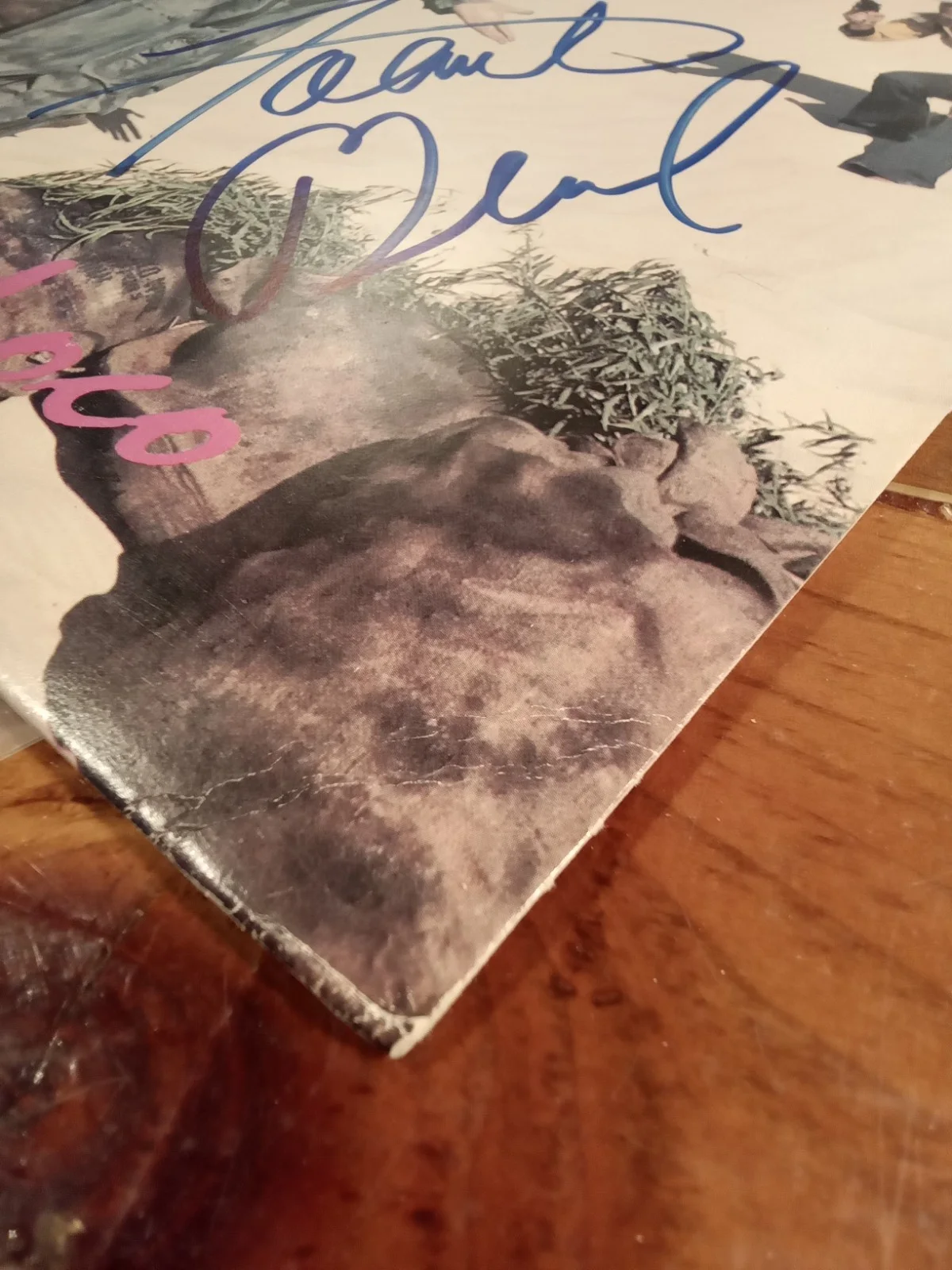 ZZ TOP SIGNED RECORD TITLED "EL LOCO" 3 MEMBERS RARE! VINTAGE!, изображение 4