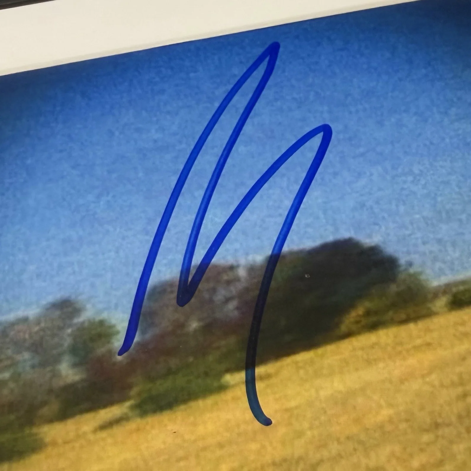 MARK KOZELEK SIGNED SUN KIL MOON BENJI CD ALBUM AUTOGRAPH FRAMED PSA COA, image 3