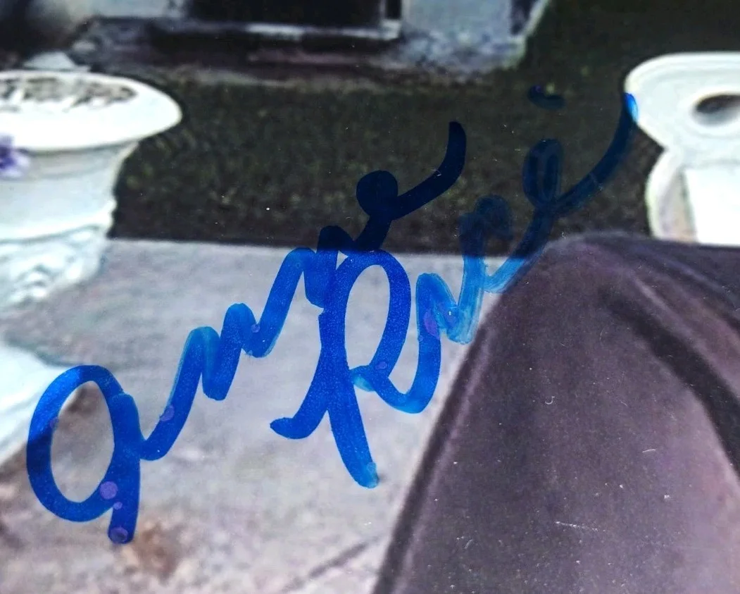 Anne rice — R.I.P ANNE RICE ICONIC WRITER AUTHOR LEGEND SIGNED AUTOGRAPHED 8X10 PHOTO RARE, изображение 2