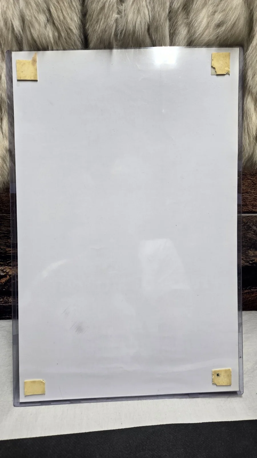 Vic Mignogna — VIC MIGNOGNA Signed 11x17 Photo FULL METAL ALCHEMIST EDWARD Autograph JSA COA, image 3