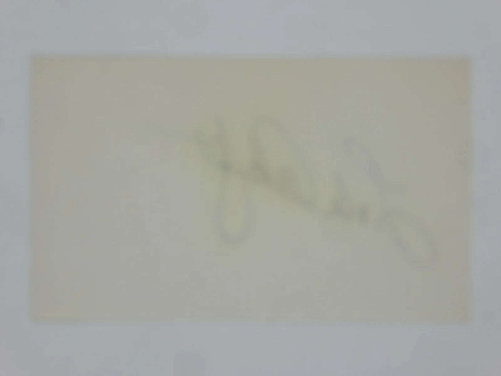 Lola Albright — Lola Albright Hand Signed Autographed 3x5 Index Card Actress Peter Gunn, изображение 2