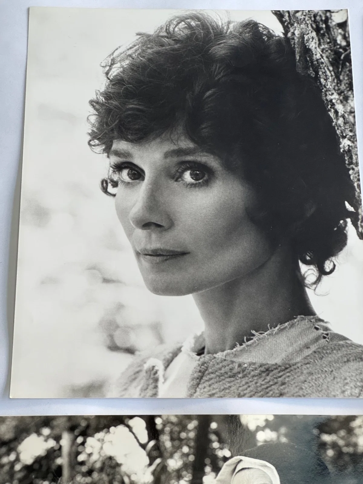 Set of 6 Press Stills from ROBIN AND MARIAN Audrey Hepburn Sean Connery 1976, image 2