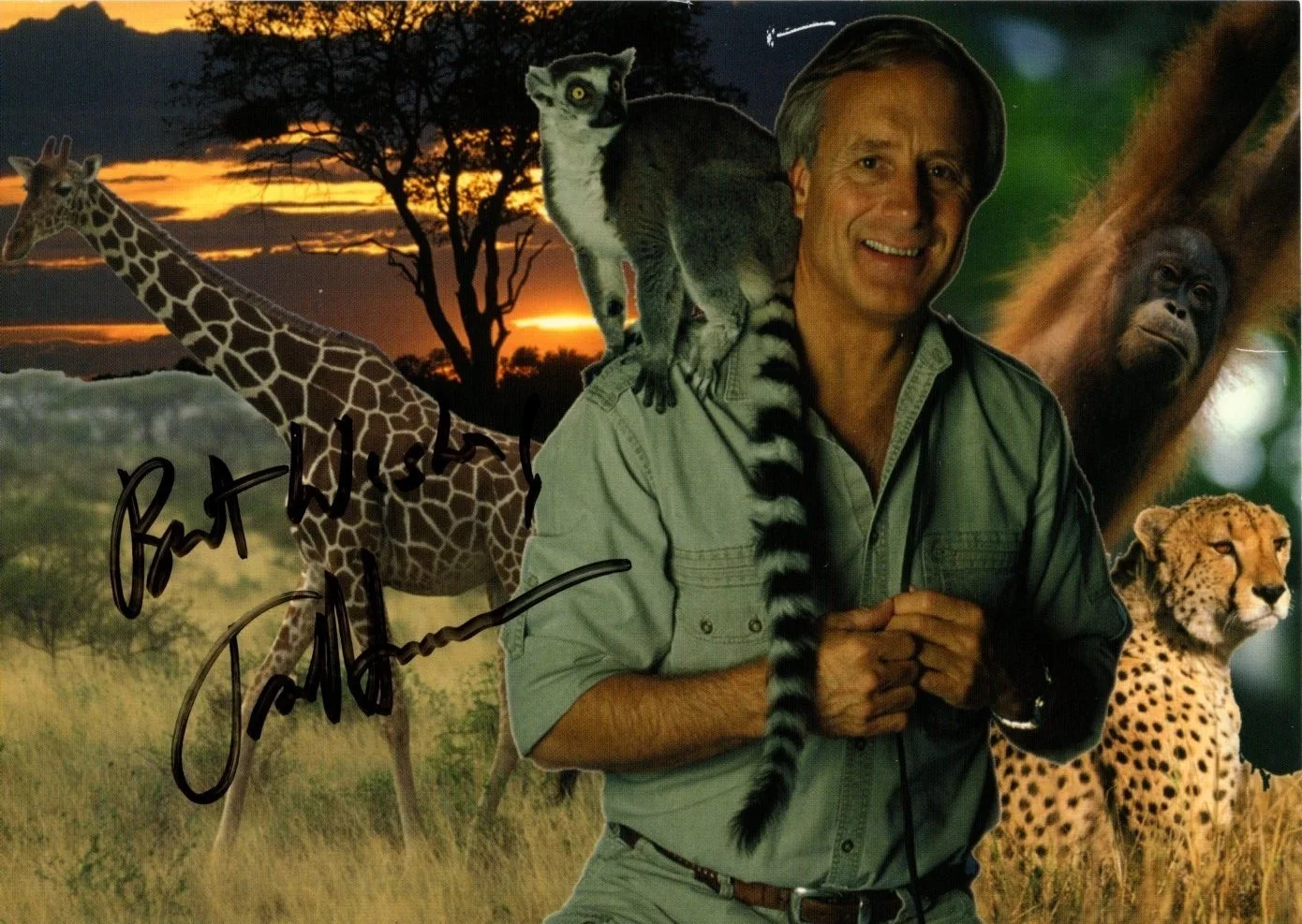 Jack Hanna — JACK HANNA Signed 5x7 Photo w/ Hologram COA