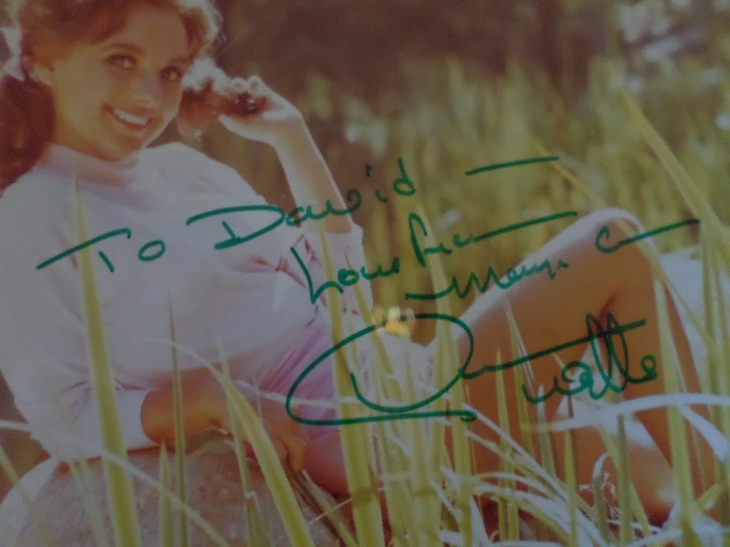 Dawn Wells — Dawm Wells Signed 8X10 Color Photo, image 2