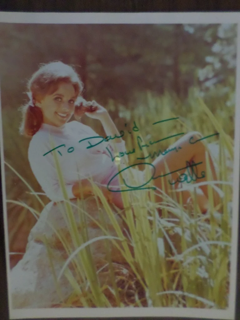 Dawn Wells — Dawm Wells Signed 8X10 Color Photo, image 3