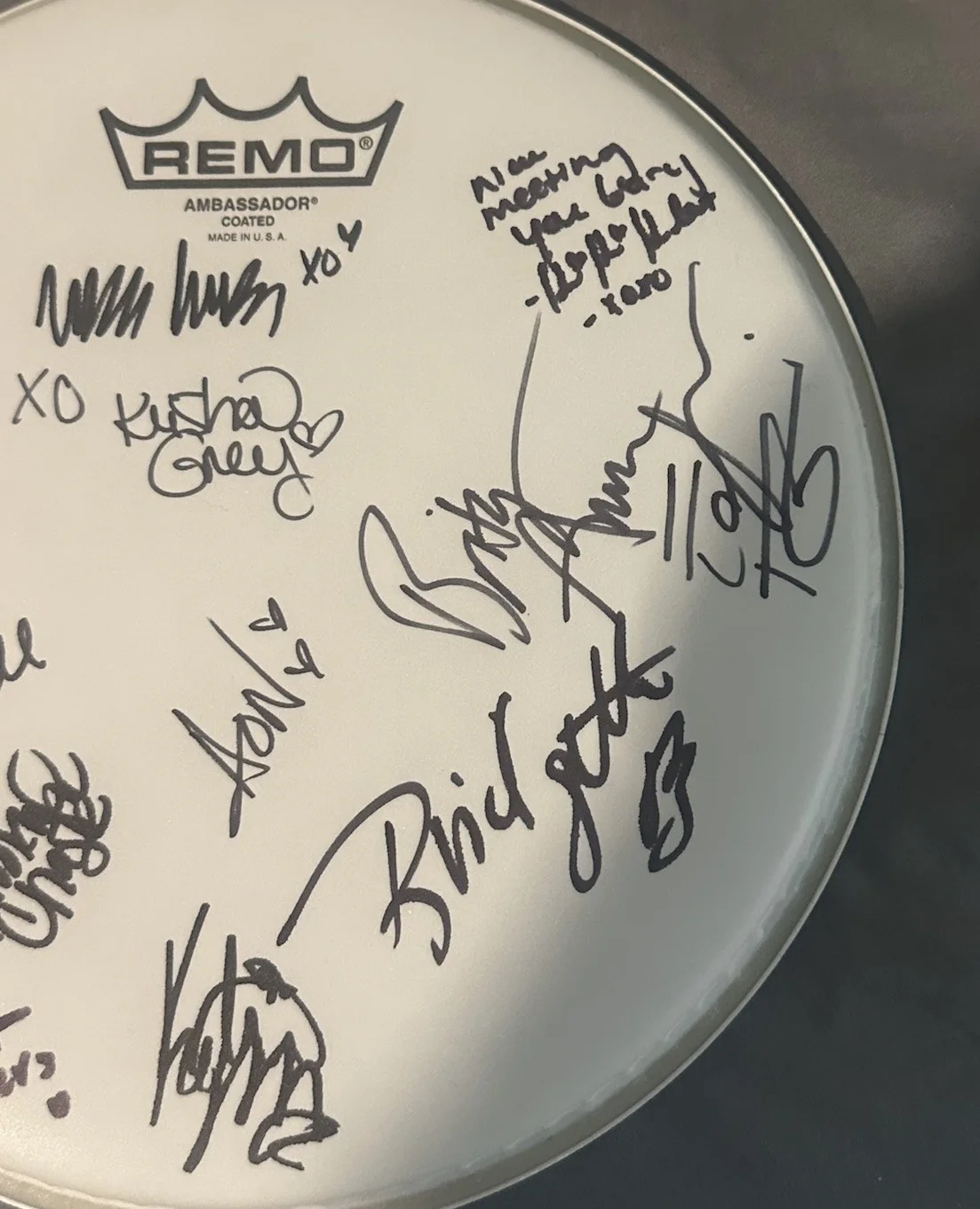 10 Inch Remo Drum Head Adult Film Stars Multi Signed Autograph VIOLET MYERES COA, изображение 5