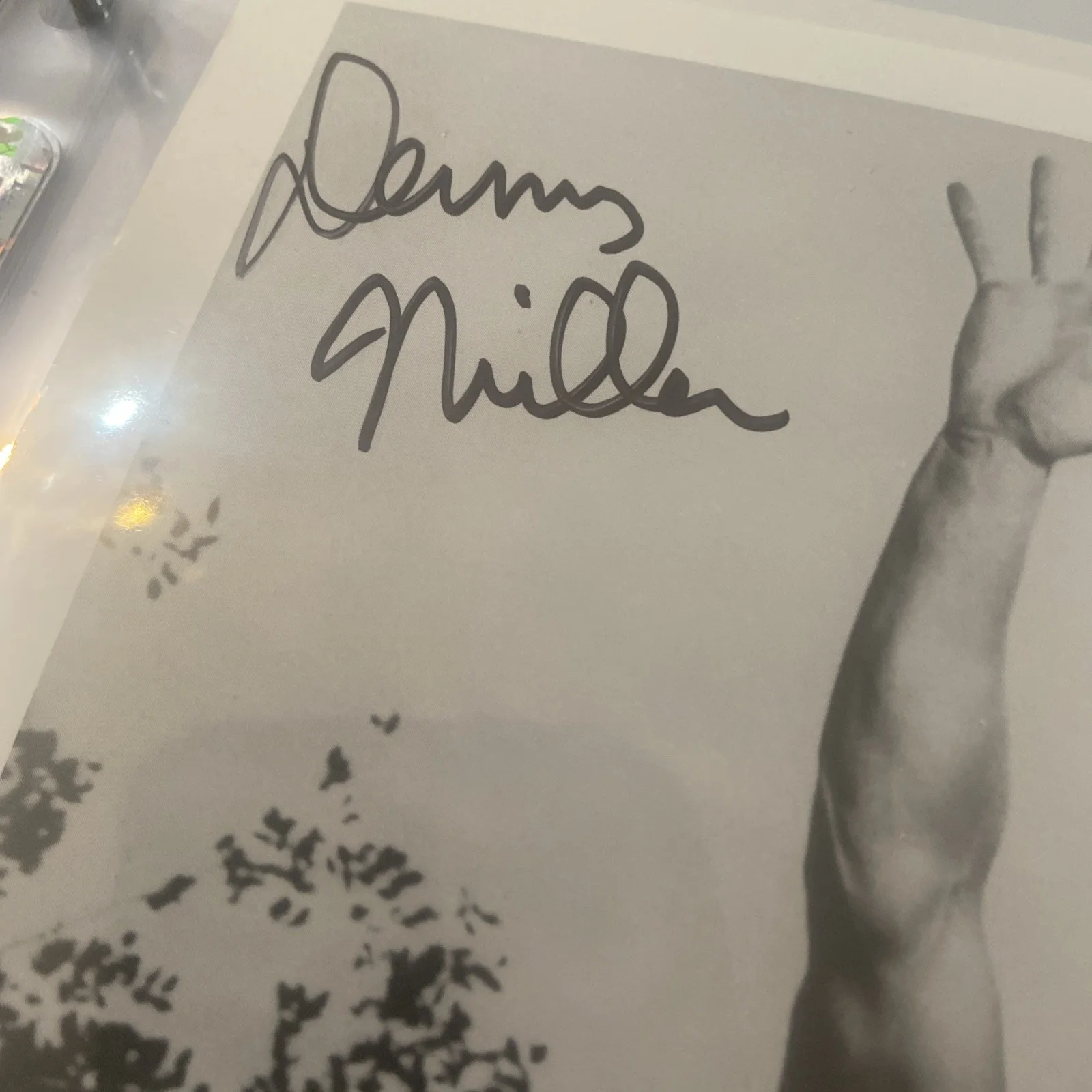 Denny Miller — DENNY MILLER Signed Autographed 8x10 TARZAN b&w Photo, изображение 2
