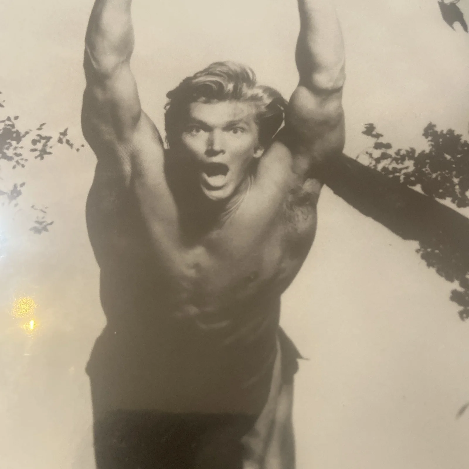 Denny Miller — DENNY MILLER Signed Autographed 8x10 TARZAN b&w Photo, изображение 3
