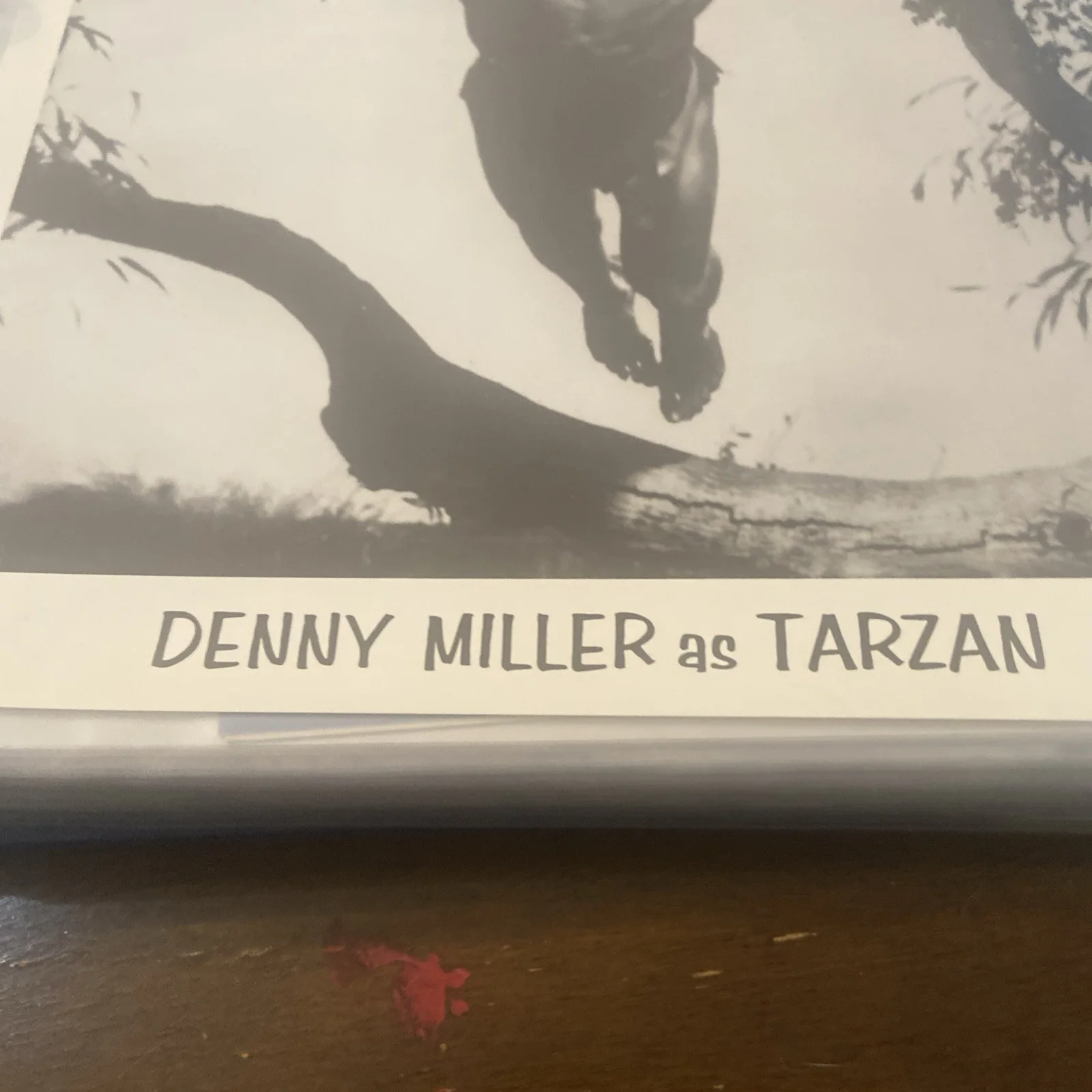 Denny Miller — DENNY MILLER Signed Autographed 8x10 TARZAN b&w Photo, изображение 4