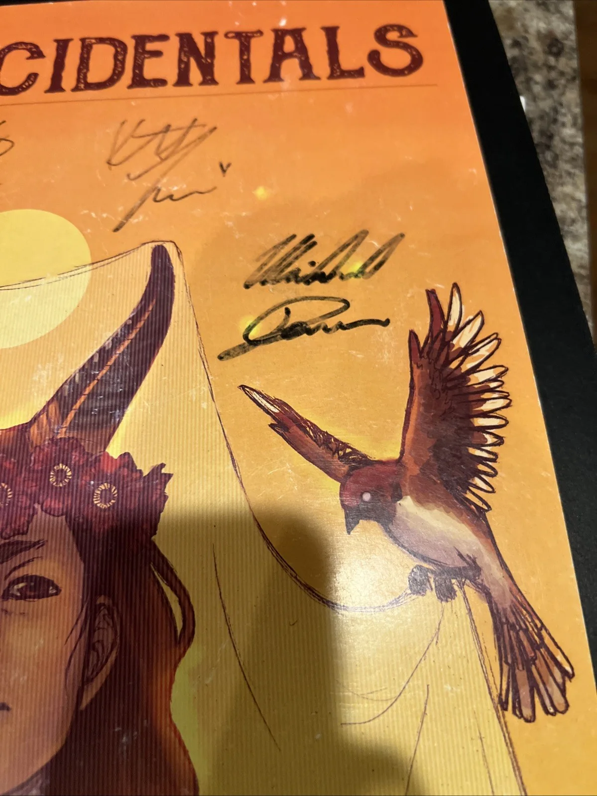 The Accidentals Concert Poster Signed 8/27-9/22 Rare, изображение 4