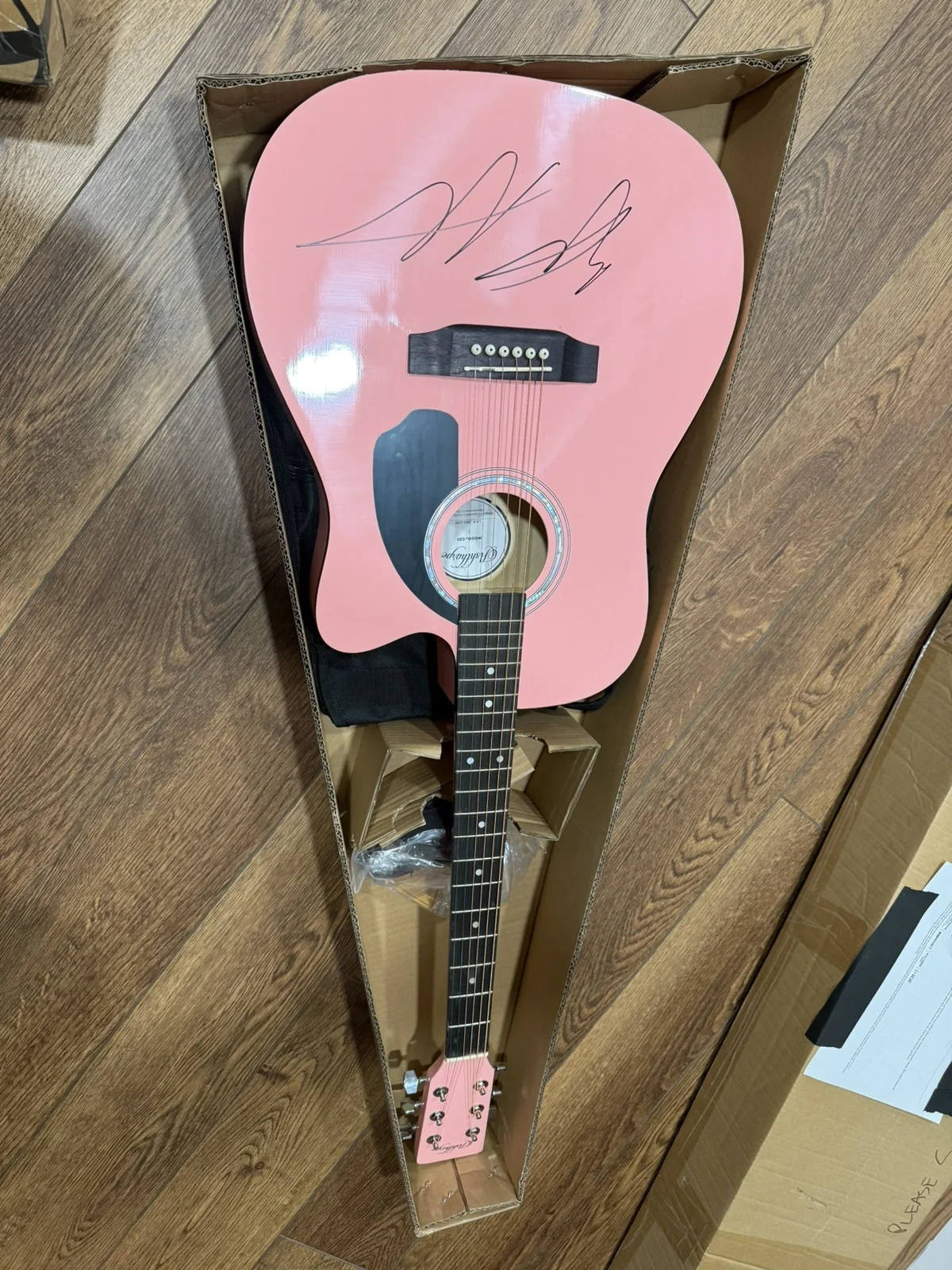 EASTON CORBIN SIGNED ACOUSTIC GUITAR - BREAST CANCER AWARENESS PINK, image 2