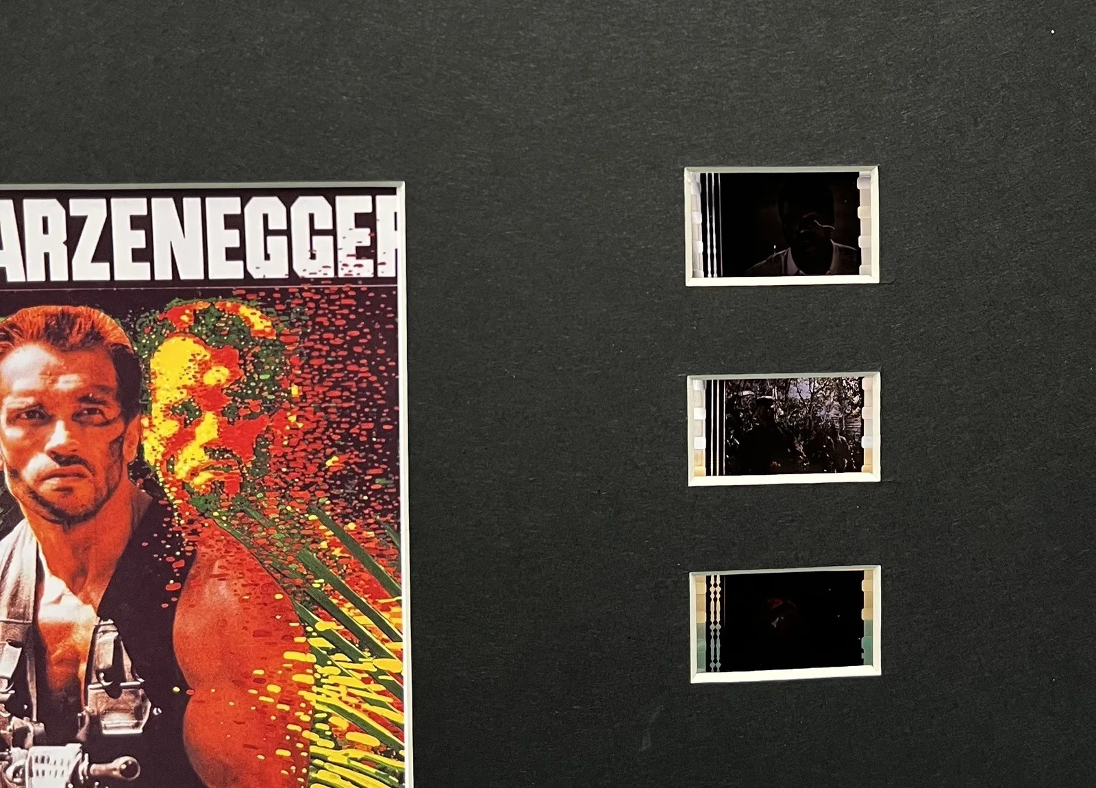 PREDATOR 135mm Film Cell Mounted Display, image 2