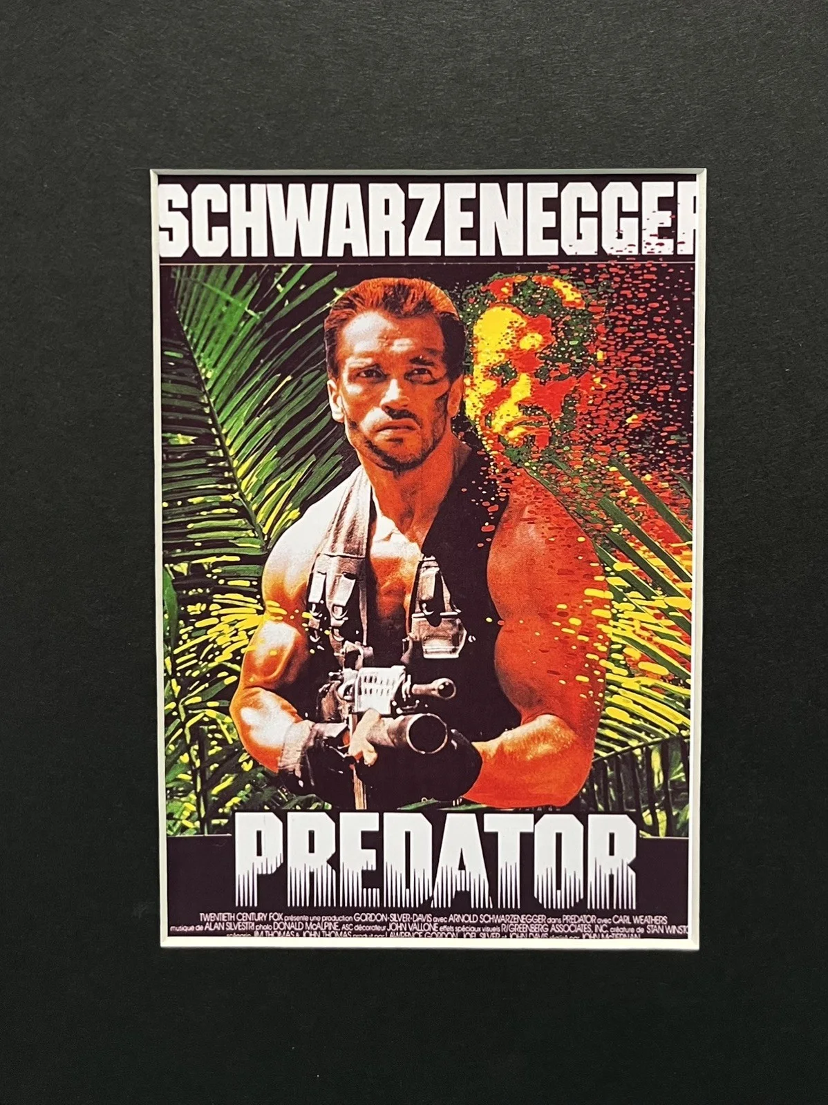 PREDATOR 135mm Film Cell Mounted Display, image 3