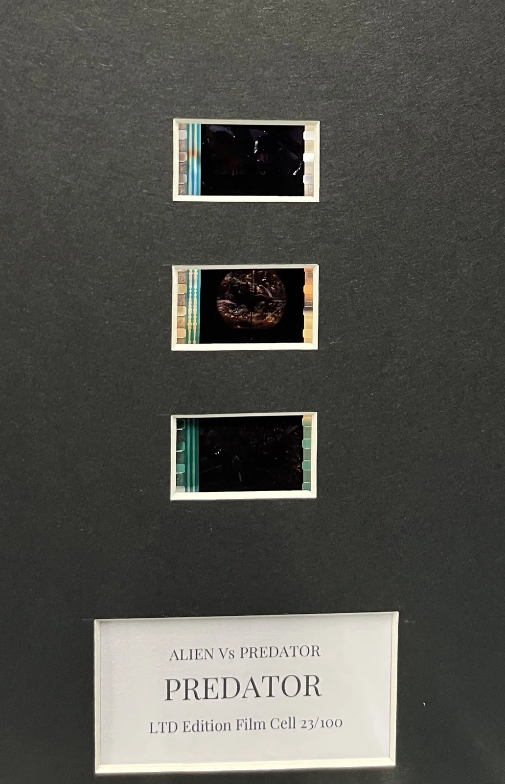 Alien vs Predator 2. Requiem. 35mm Film Cell Mounted Display, image 3