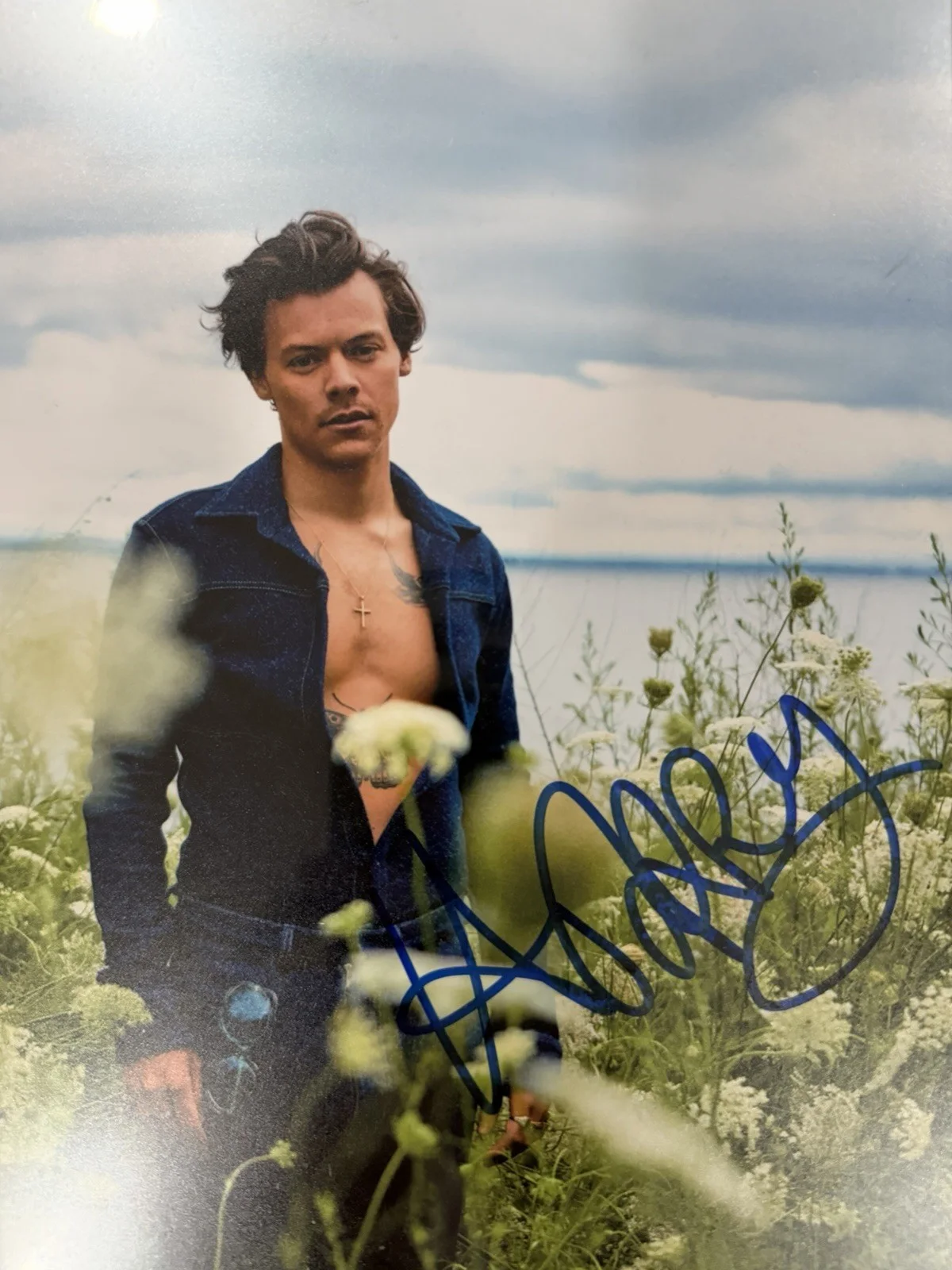 Harry Styles Autographed 8x10 Photo, image 2