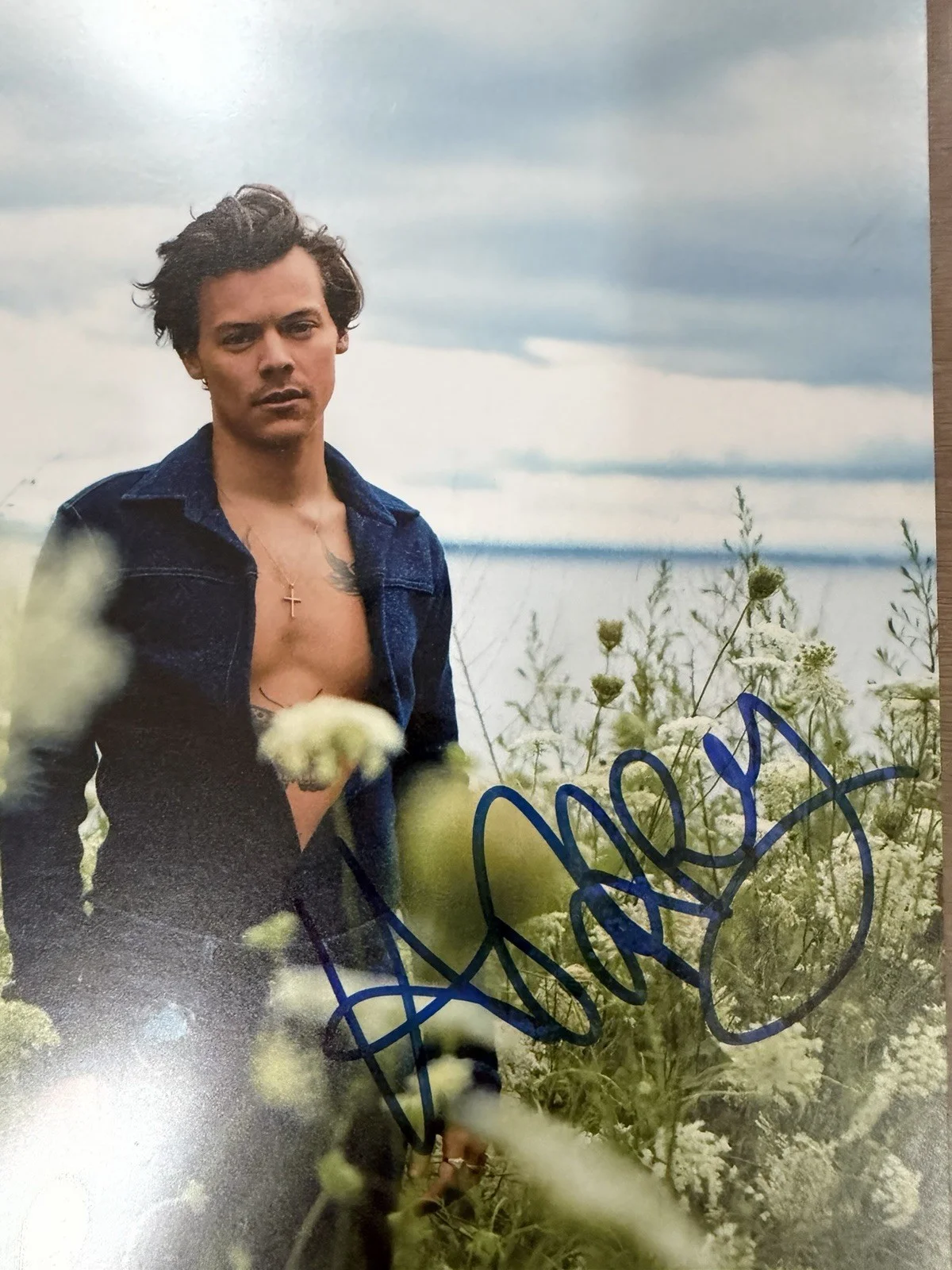 Harry Styles Autographed 8x10 Photo, image 3