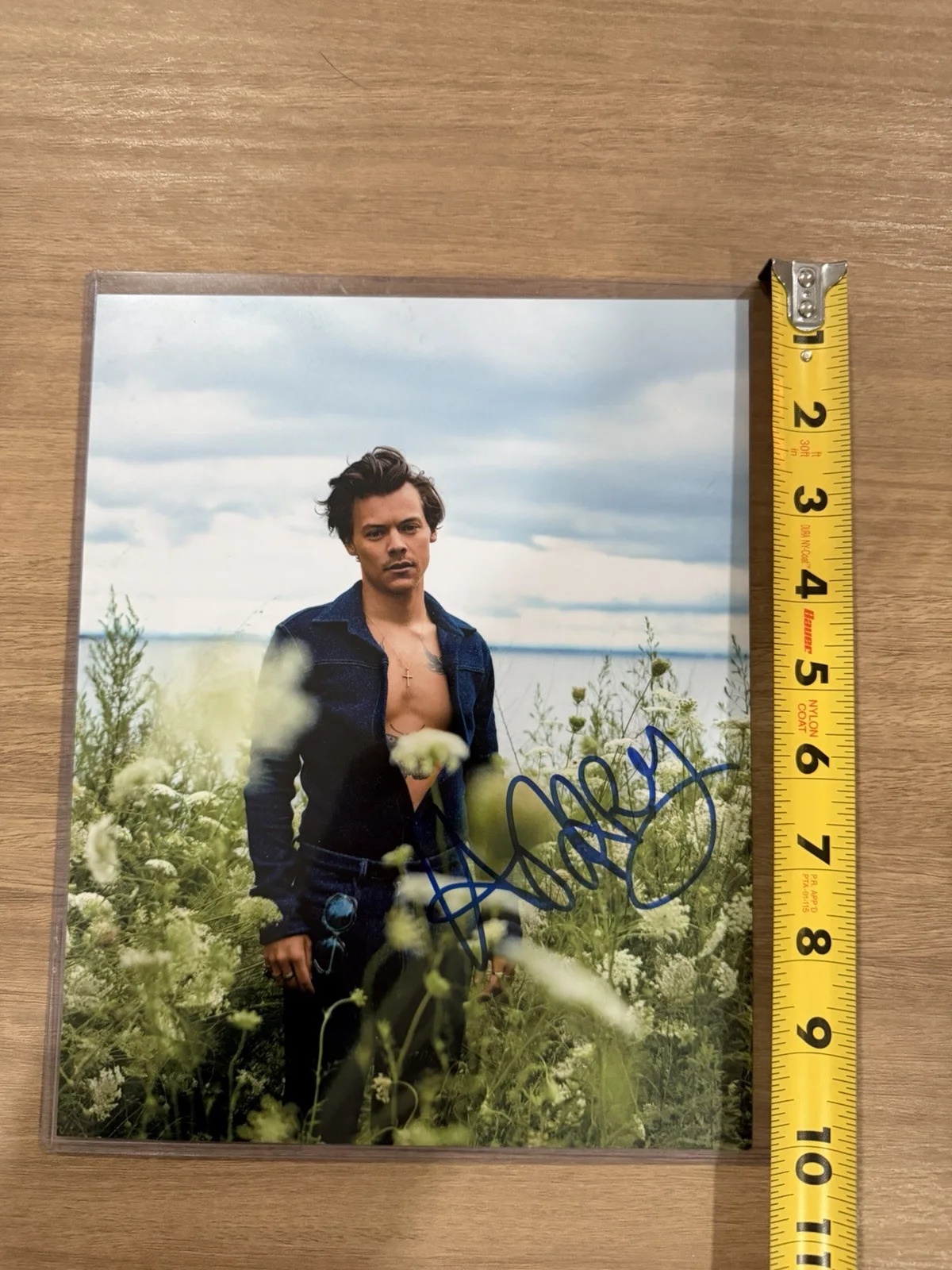 Harry Styles Autographed 8x10 Photo, image 5