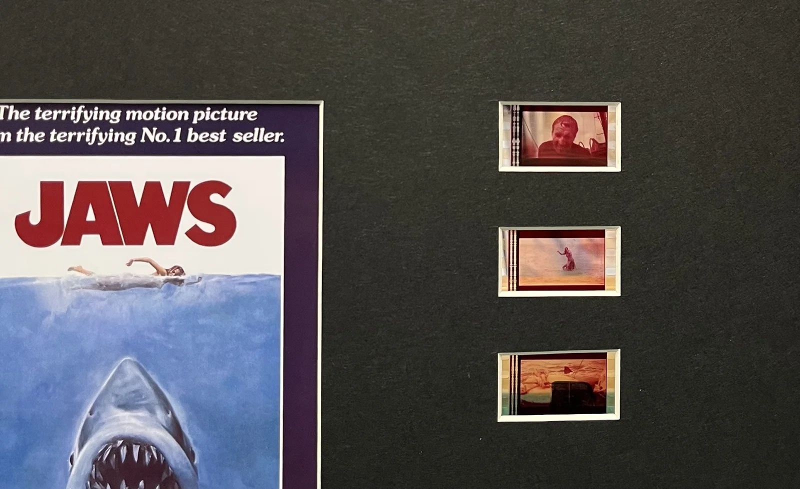 Jaws. 35mm Film Cell MOUNTED DISPLAY, image 3