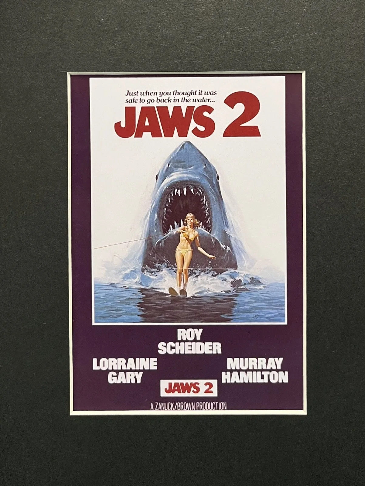 Jaws. 2 .35mm Film Cell MOUNTED DISPLAY, image 2