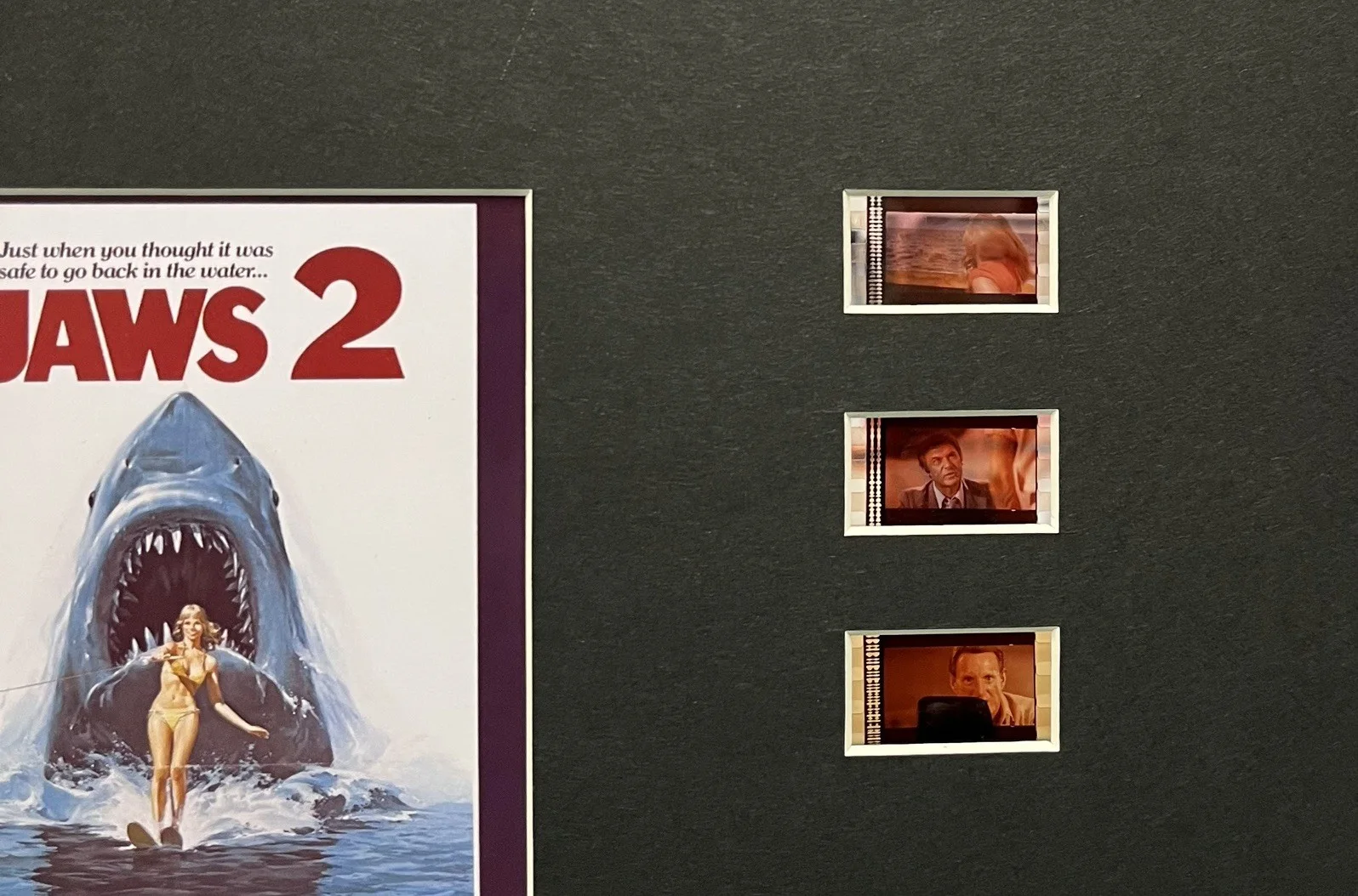 Jaws. 2 .35mm Film Cell MOUNTED DISPLAY, image 3